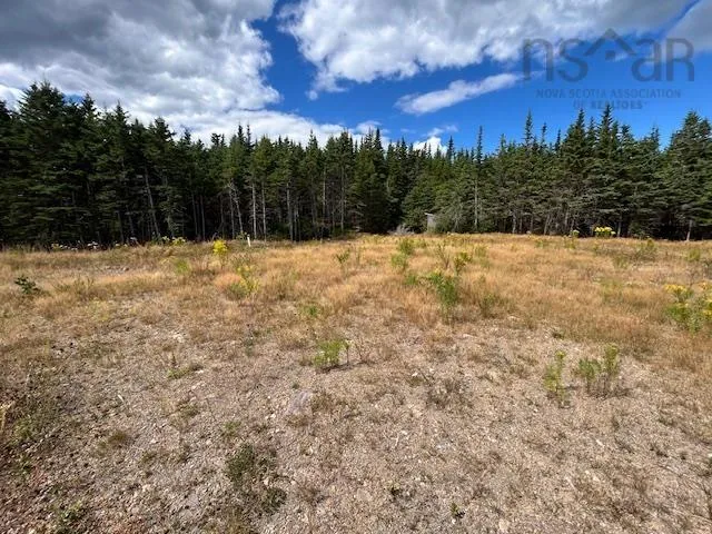1185 247 Highway, Rockdale, NS B0E 3B0, ,Land,For Sale,247,202521608