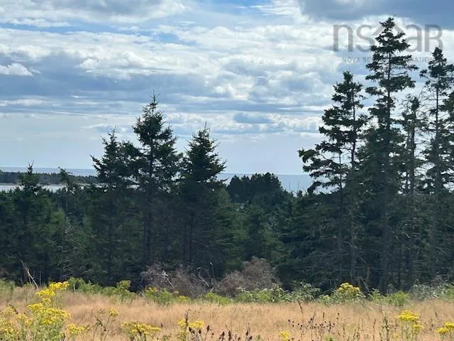 1185 247 Highway, Rockdale, NS B0E 3B0, ,Land,For Sale,247,202521608