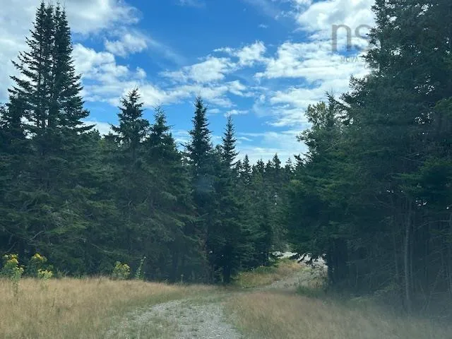 1185 247 Highway, Rockdale, NS B0E 3B0, ,Land,For Sale,247,202521608