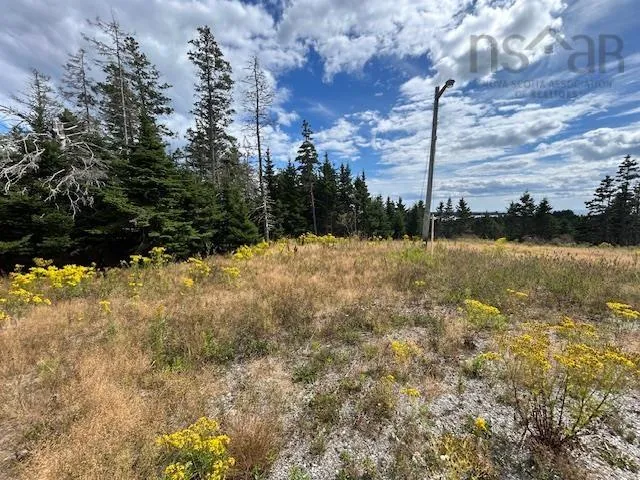 1185 247 Highway, Rockdale, NS B0E 3B0, ,Land,For Sale,247,202521608