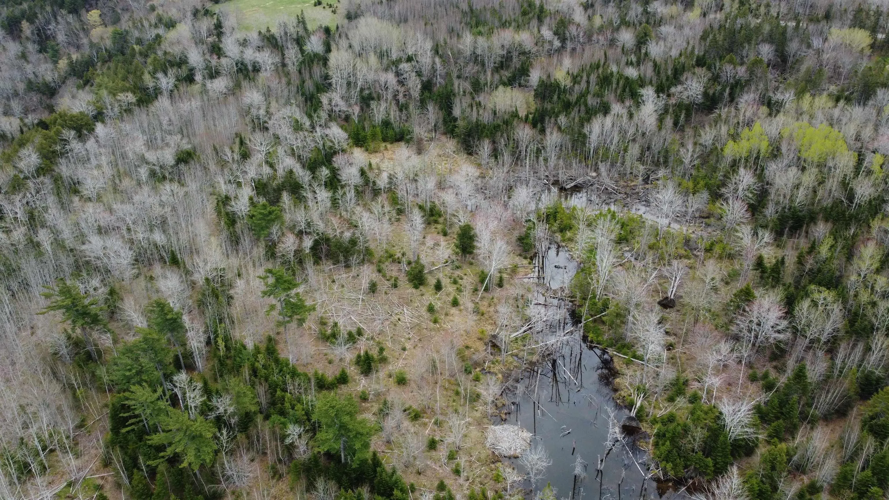 4 No Highway, Broadway, NS B0K 1A0, ,Land,For Sale,No,202511779