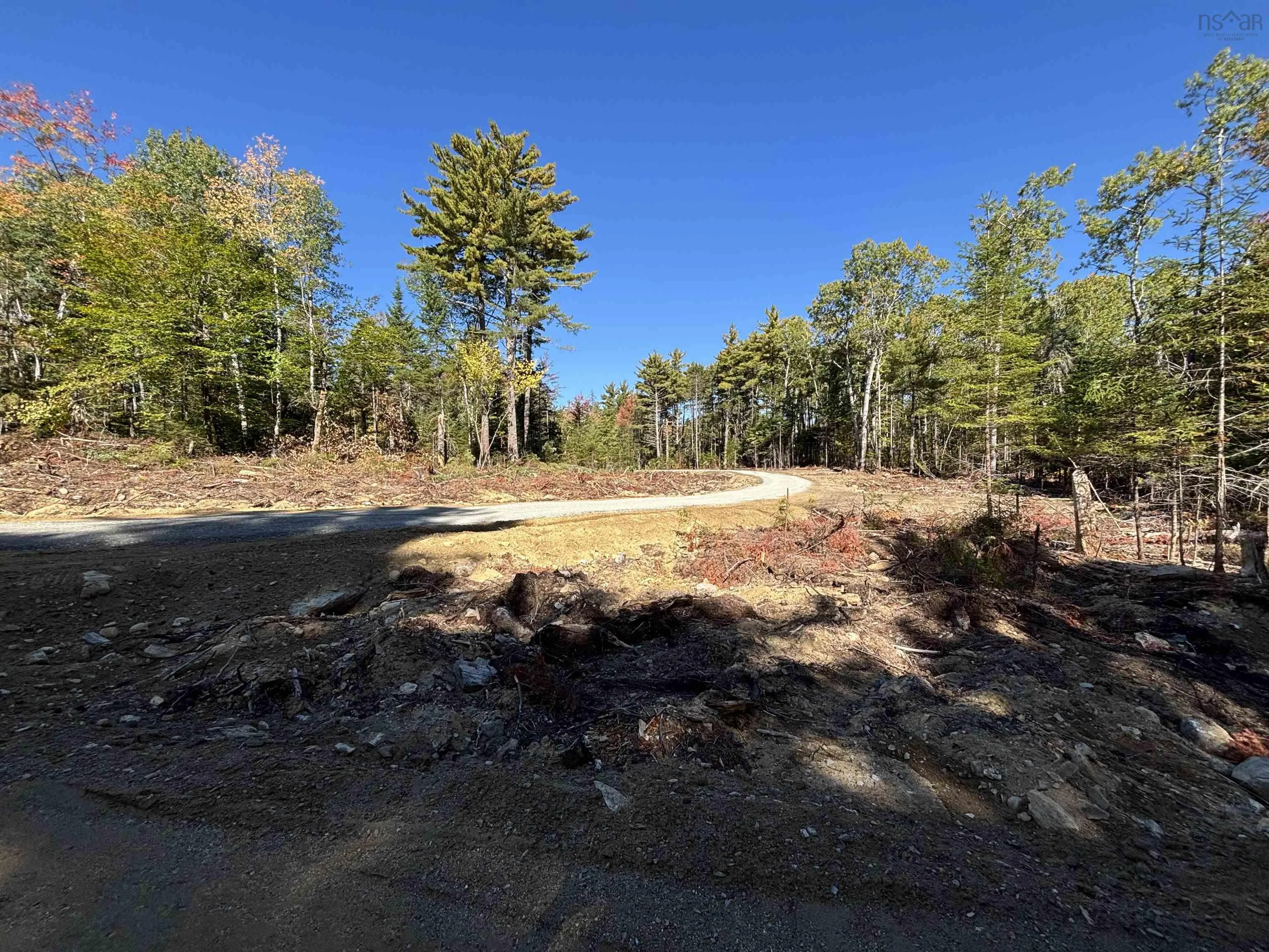 Highway 325 Lot 23, West Clifford, NS B4V 8H3, ,Land,For Sale,Highway 325,202524866