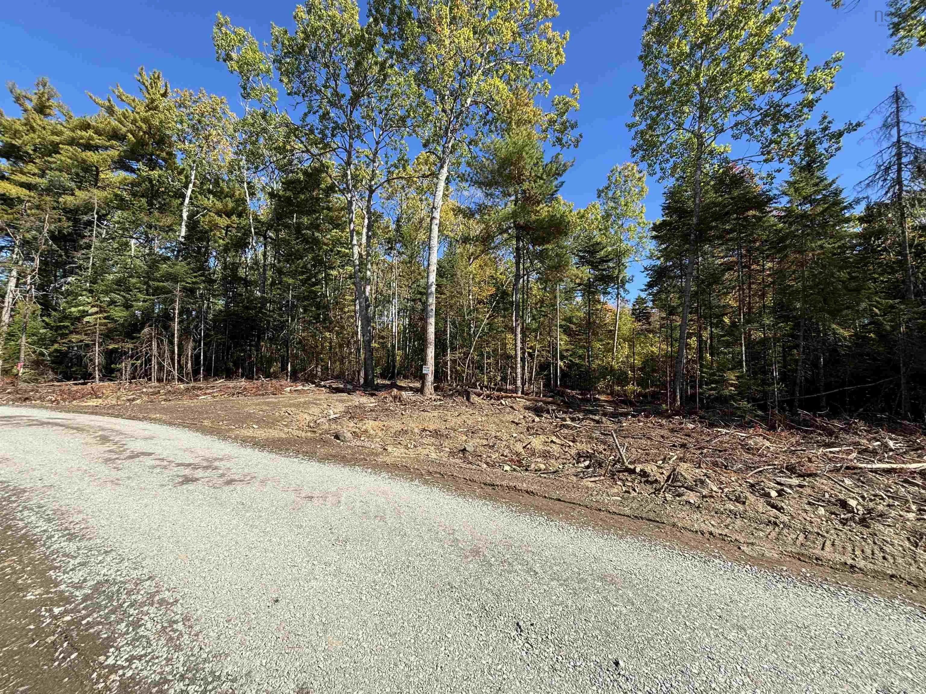 Highway 325 Lot 23, West Clifford, NS B4V 8H3, ,Land,For Sale,Highway 325,202524866