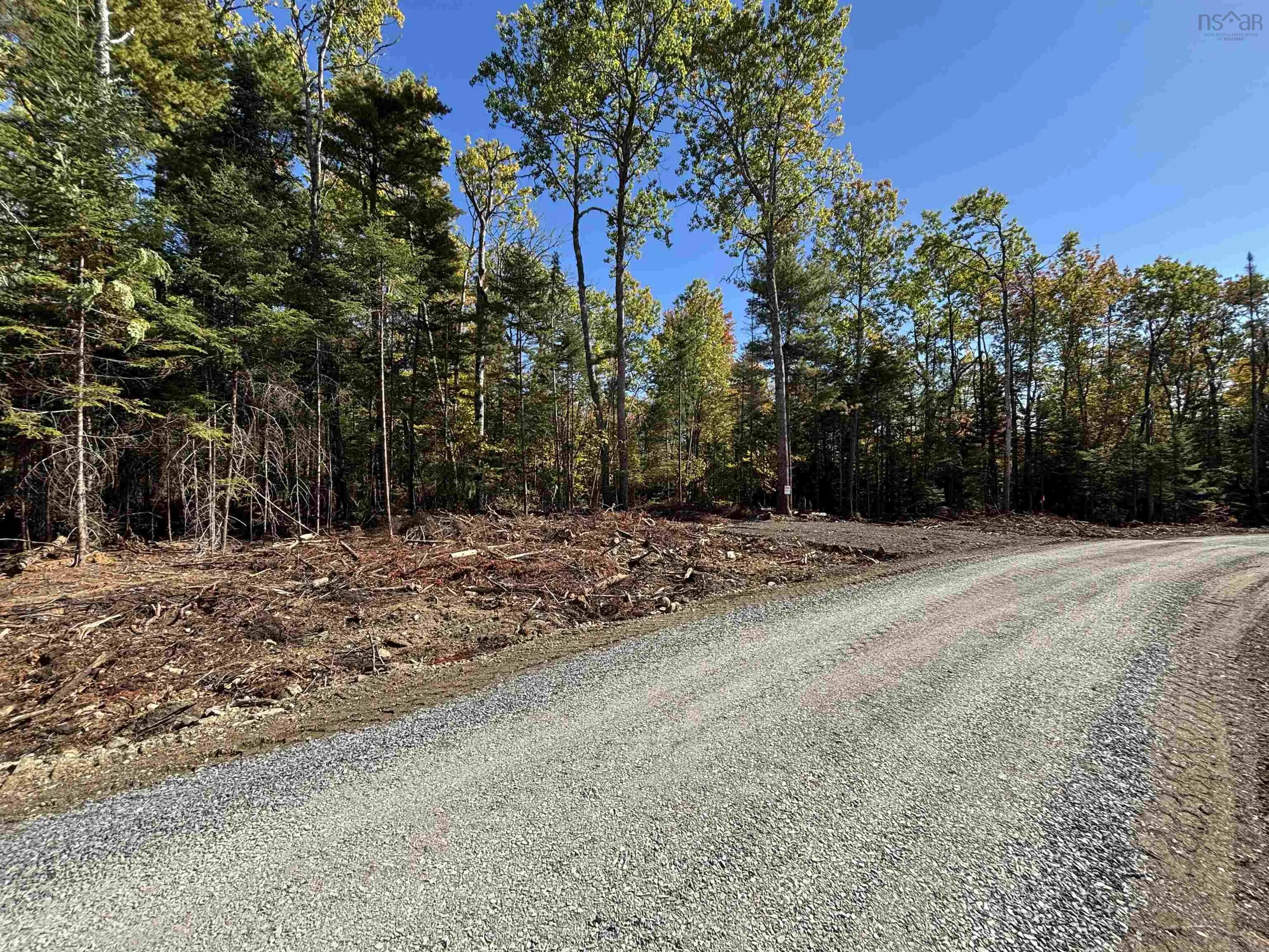 Highway 325 Lot 23, West Clifford, NS B4V 8H3, ,Land,For Sale,Highway 325,202524866