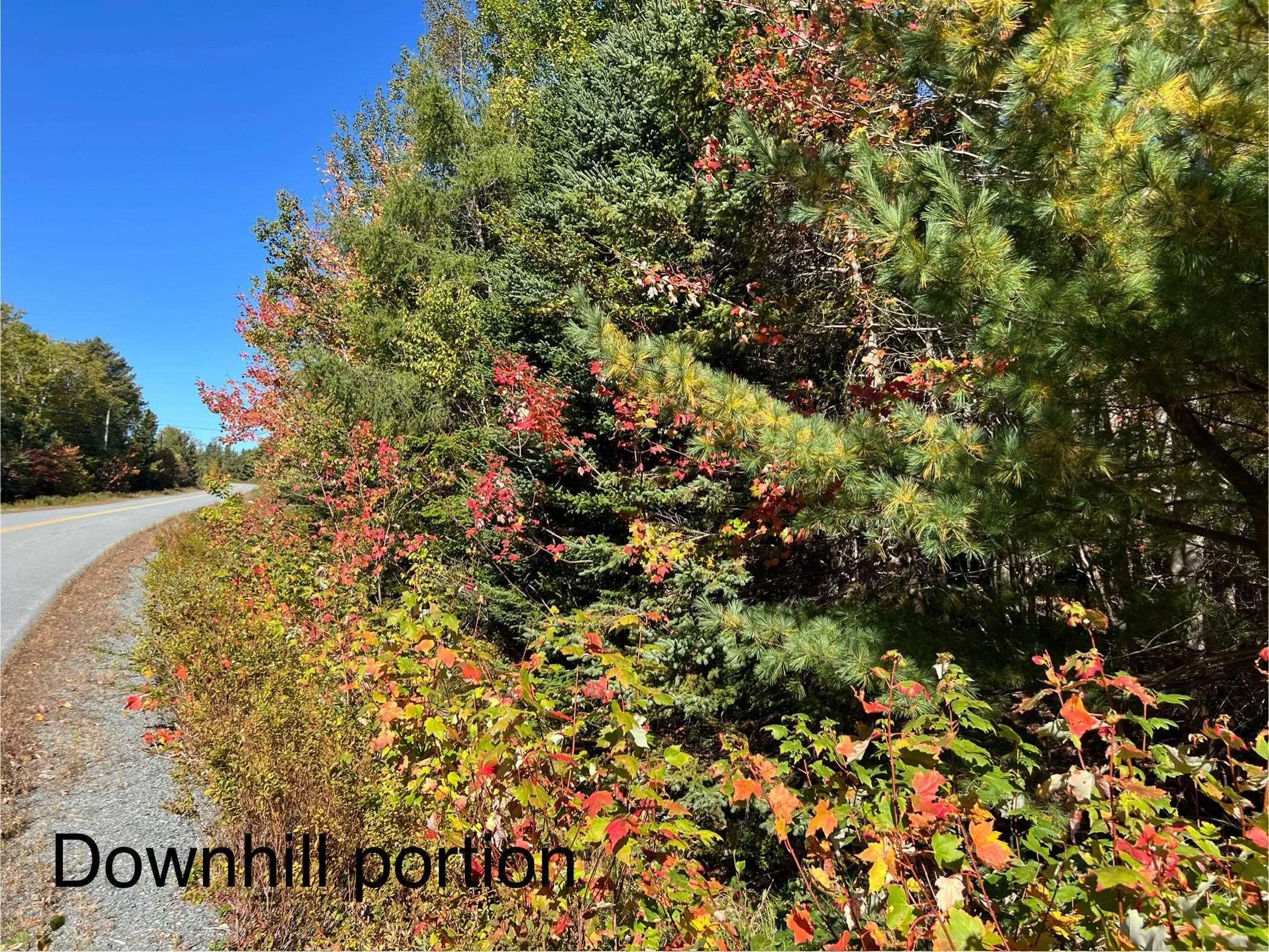 Lot Huey Lake Road, Mount Pleasant, NS B0R 1A0, ,Land,For Sale,Huey Lake Road,202525617