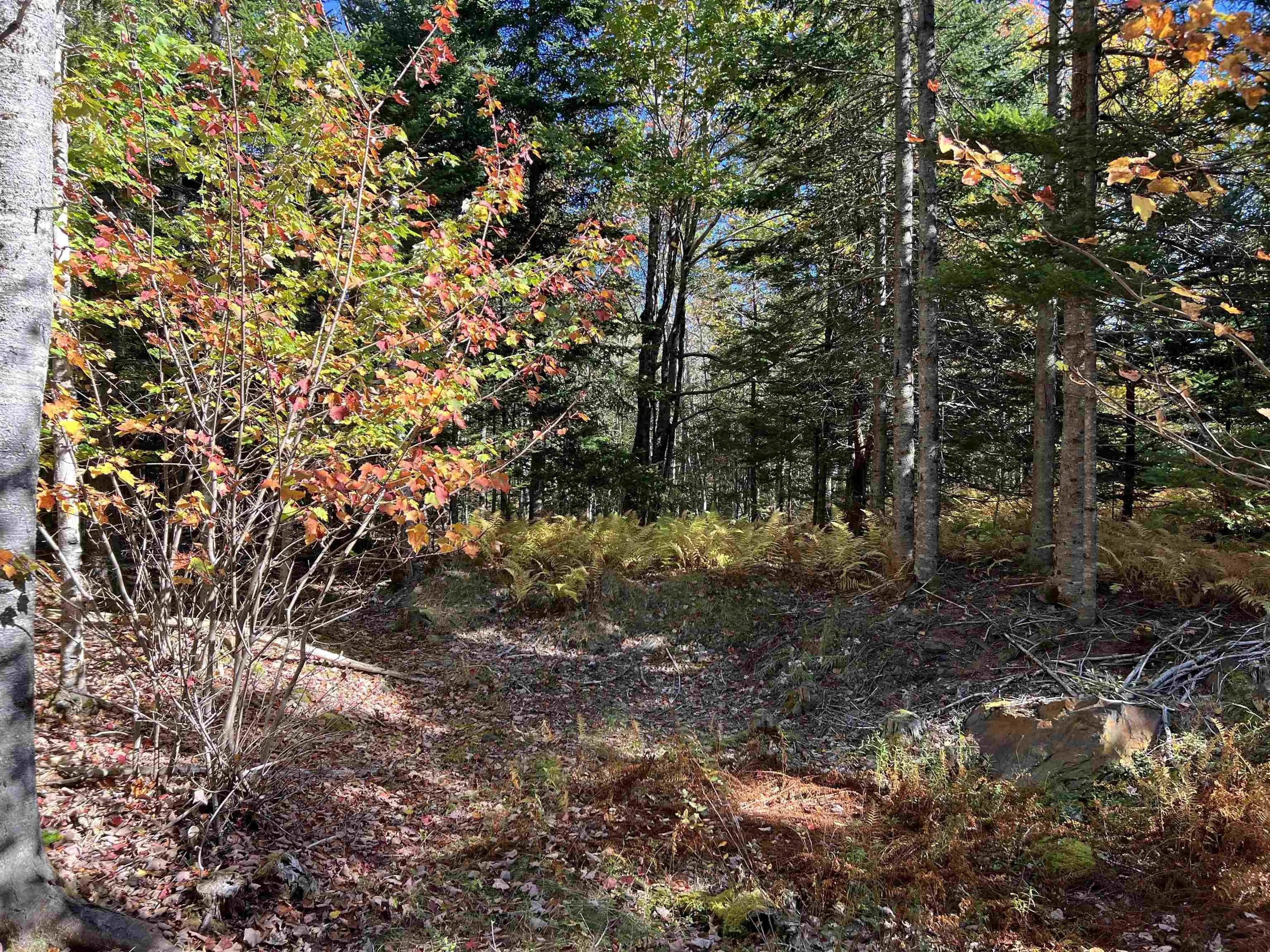 Lot Huey Lake Road, Mount Pleasant, NS B0R 1A0, ,Land,For Sale,Huey Lake Road,202525617