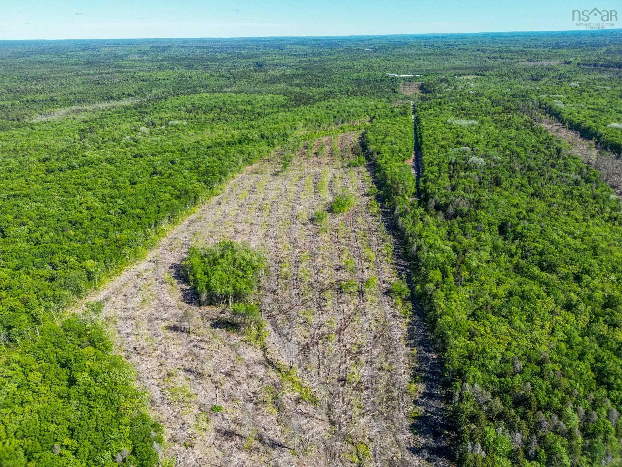 Danvers Road, Danvers, NS B0W 3T0, ,Land,For Sale,Danvers Road,202521912