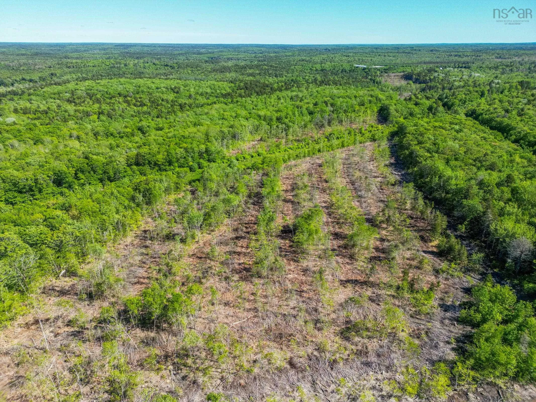 Danvers Road, Danvers, NS B0W 3T0, ,Land,For Sale,Danvers Road,202521912