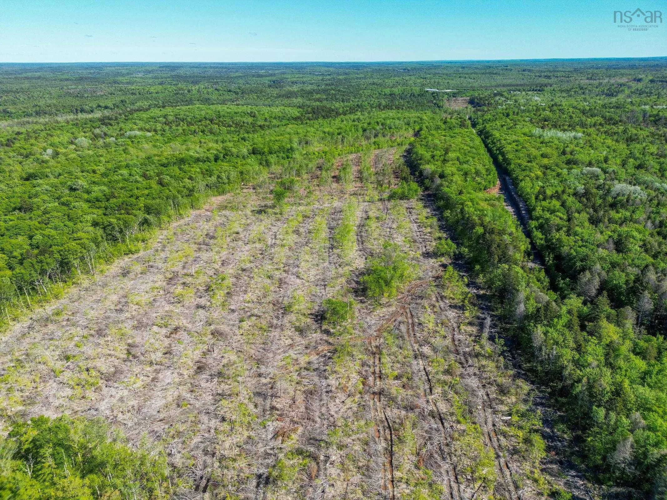 Danvers Road, Danvers, NS B0W 3T0, ,Land,For Sale,Danvers Road,202521912