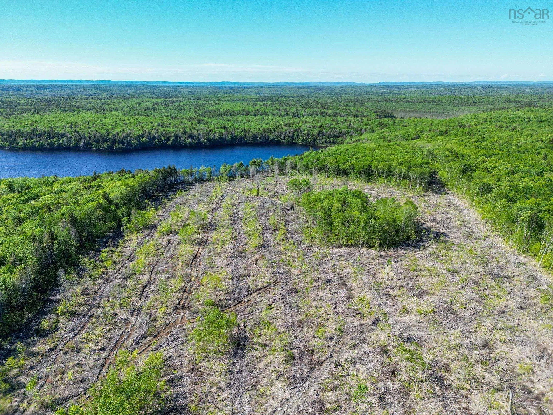 Danvers Road, Danvers, NS B0W 3T0, ,Land,For Sale,Danvers Road,202521912