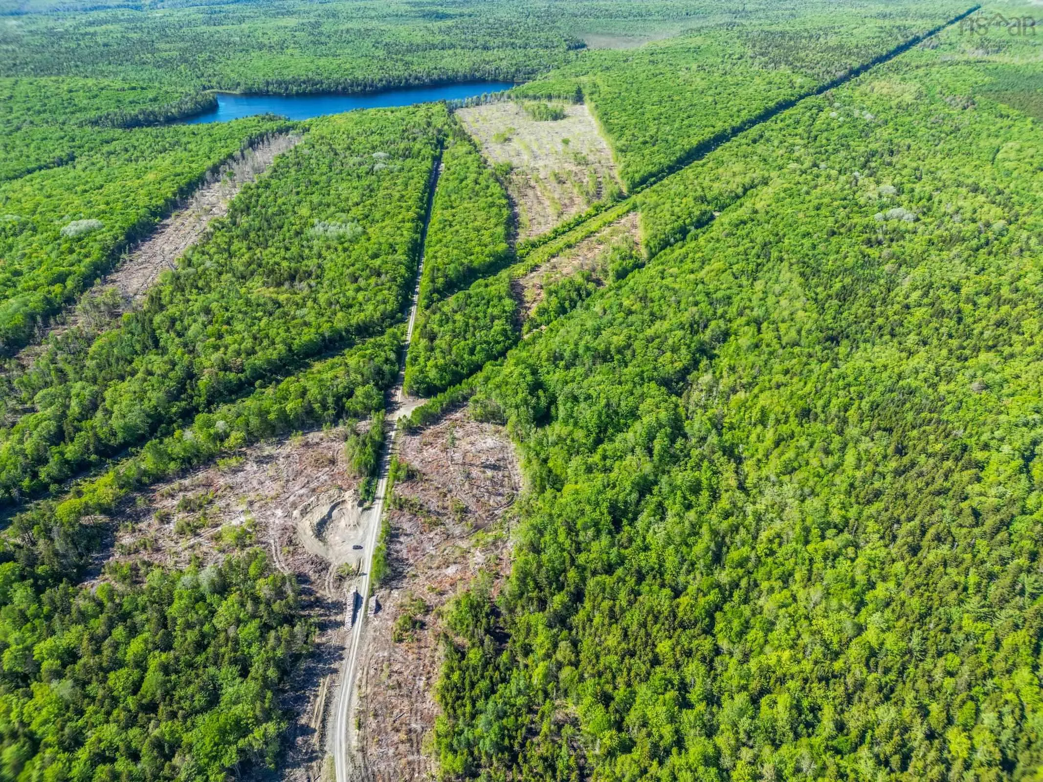 Danvers Road, Danvers, NS B0W 3T0, ,Land,For Sale,Danvers Road,202521912