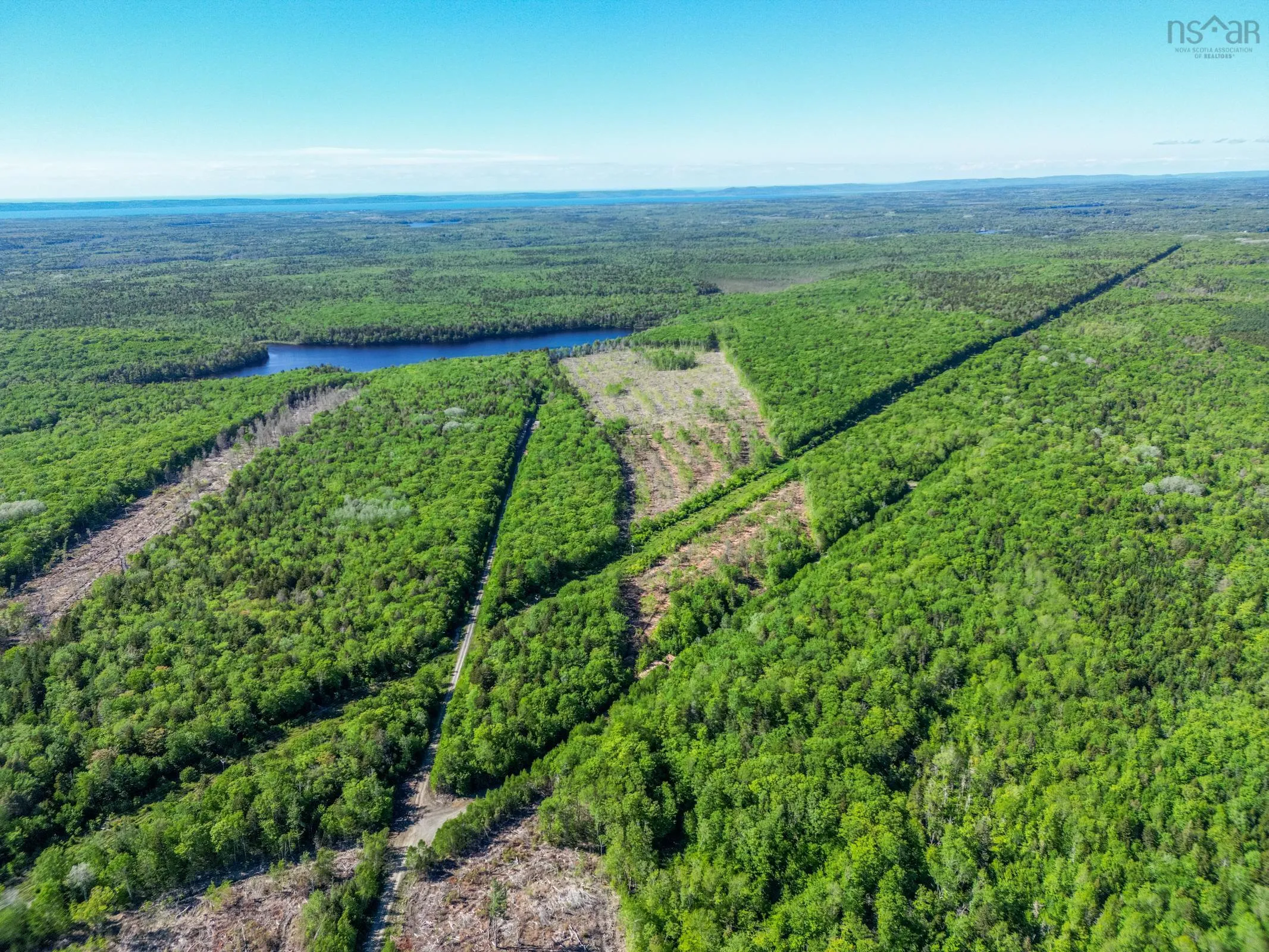 Danvers Road, Danvers, NS B0W 3T0, ,Land,For Sale,Danvers Road,202521912