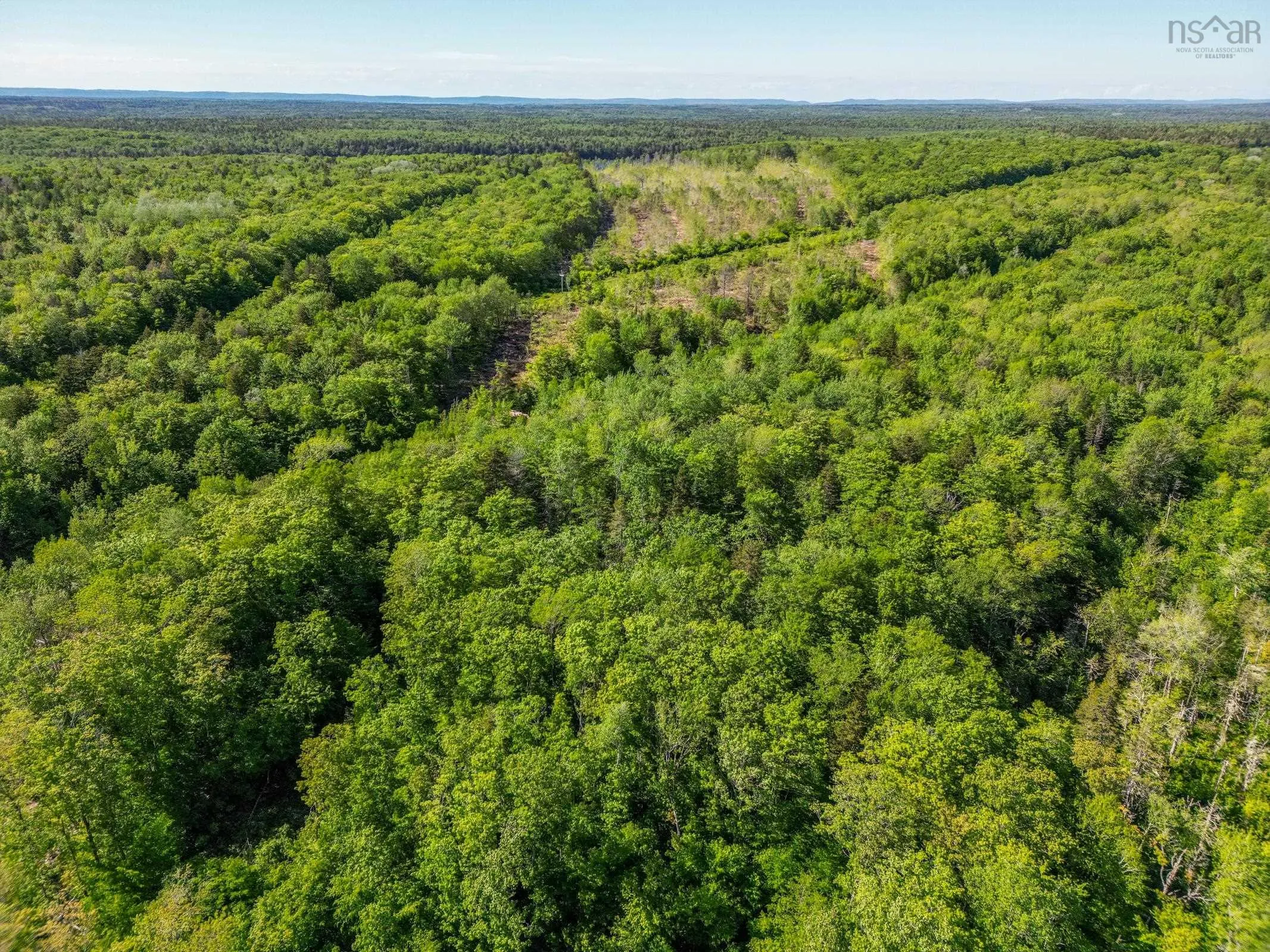 Danvers Road, Danvers, NS B0W 3T0, ,Land,For Sale,Danvers Road,202521912