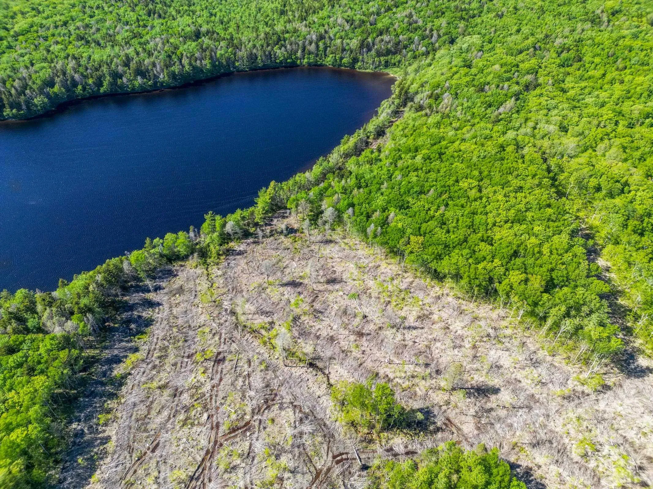 Danvers Road, Danvers, NS B0W 3T0, ,Land,For Sale,Danvers Road,202521912