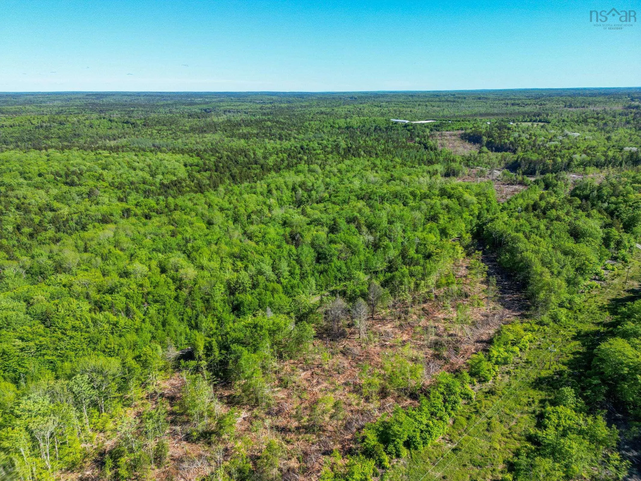 Danvers Road, Danvers, NS B0W 3T0, ,Land,For Sale,Danvers Road,202521912