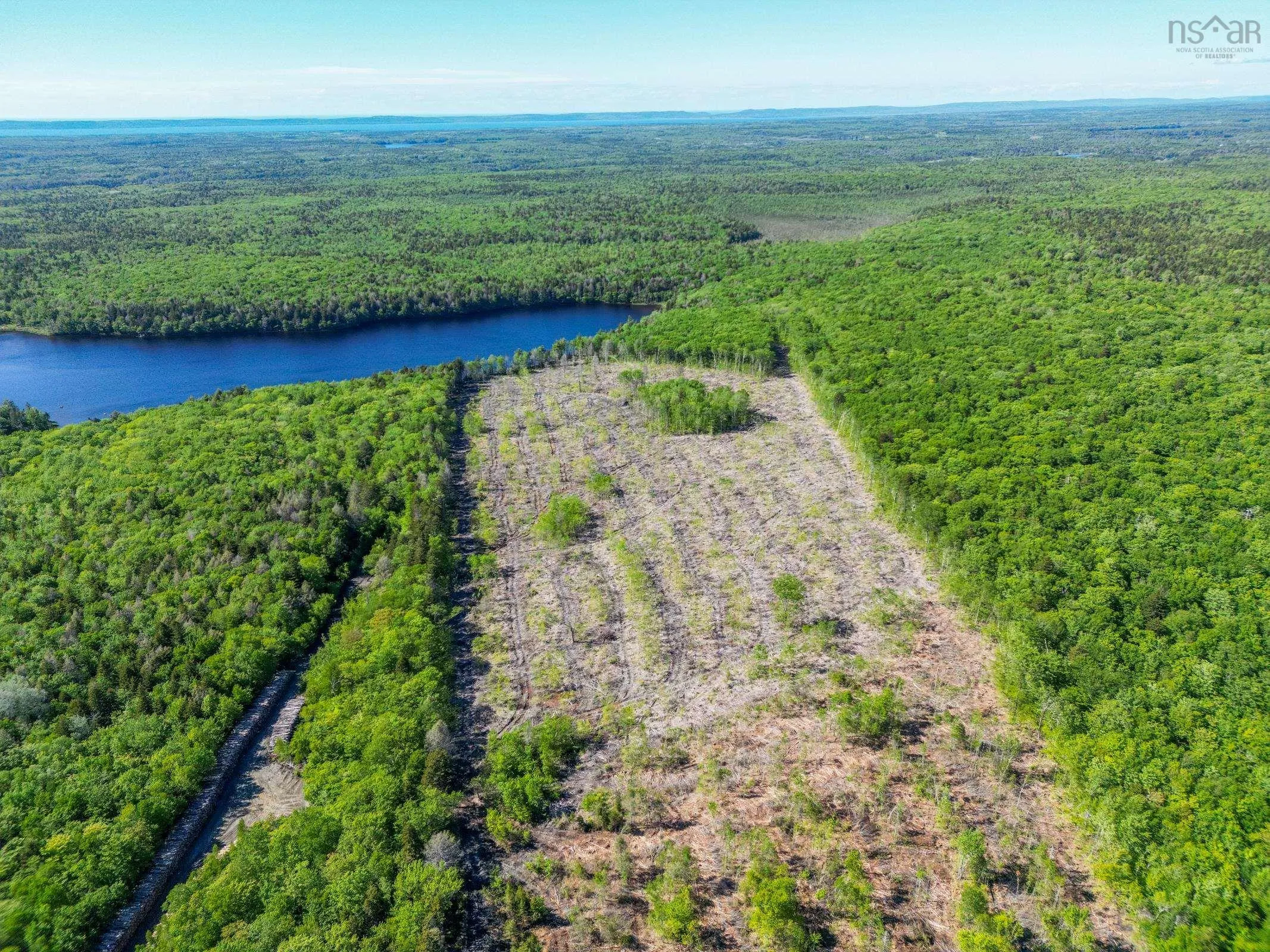 Danvers Road, Danvers, NS B0W 3T0, ,Land,For Sale,Danvers Road,202521912