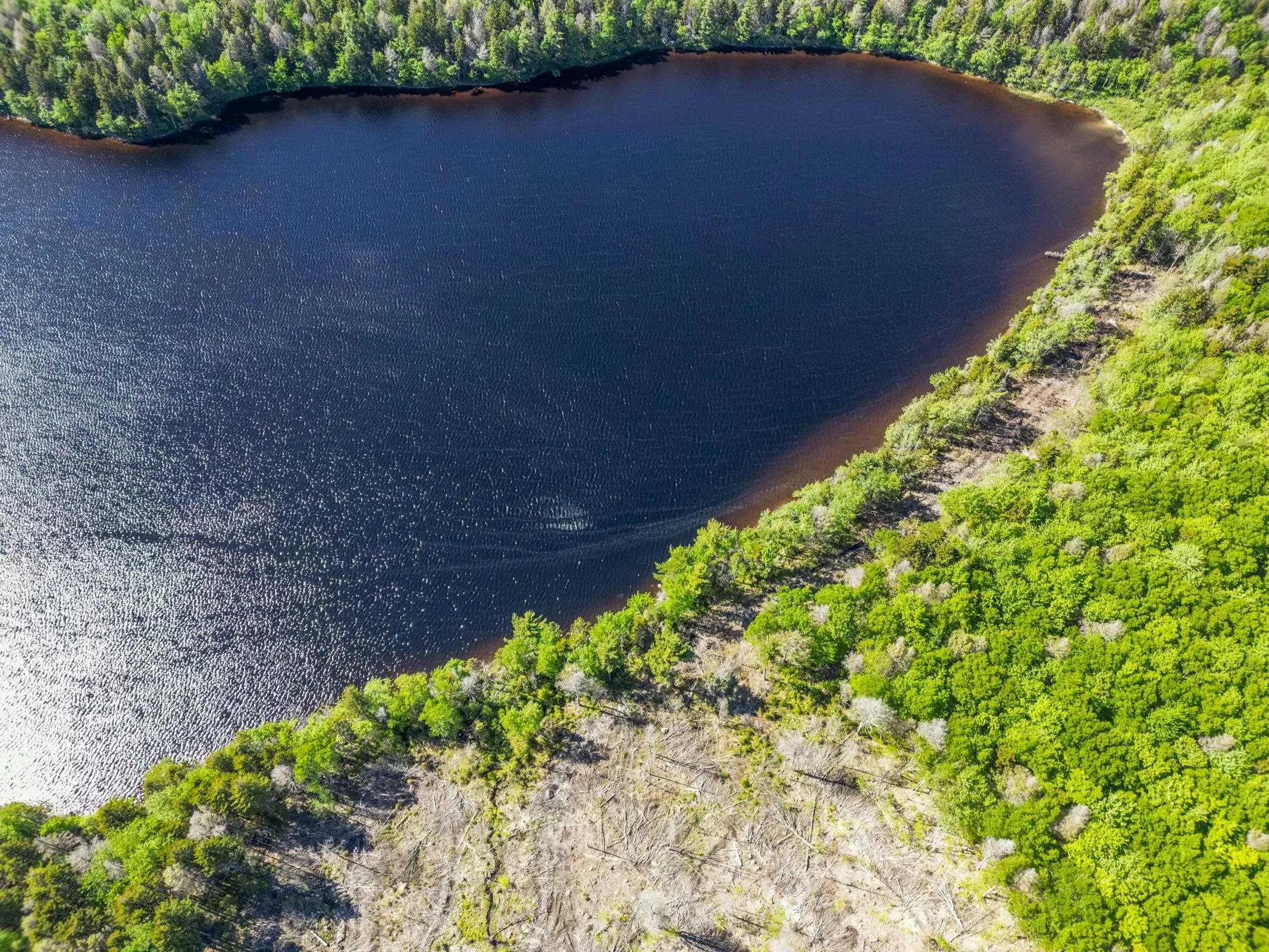 Danvers Road, Danvers, NS B0W 3T0, ,Land,For Sale,Danvers Road,202521912