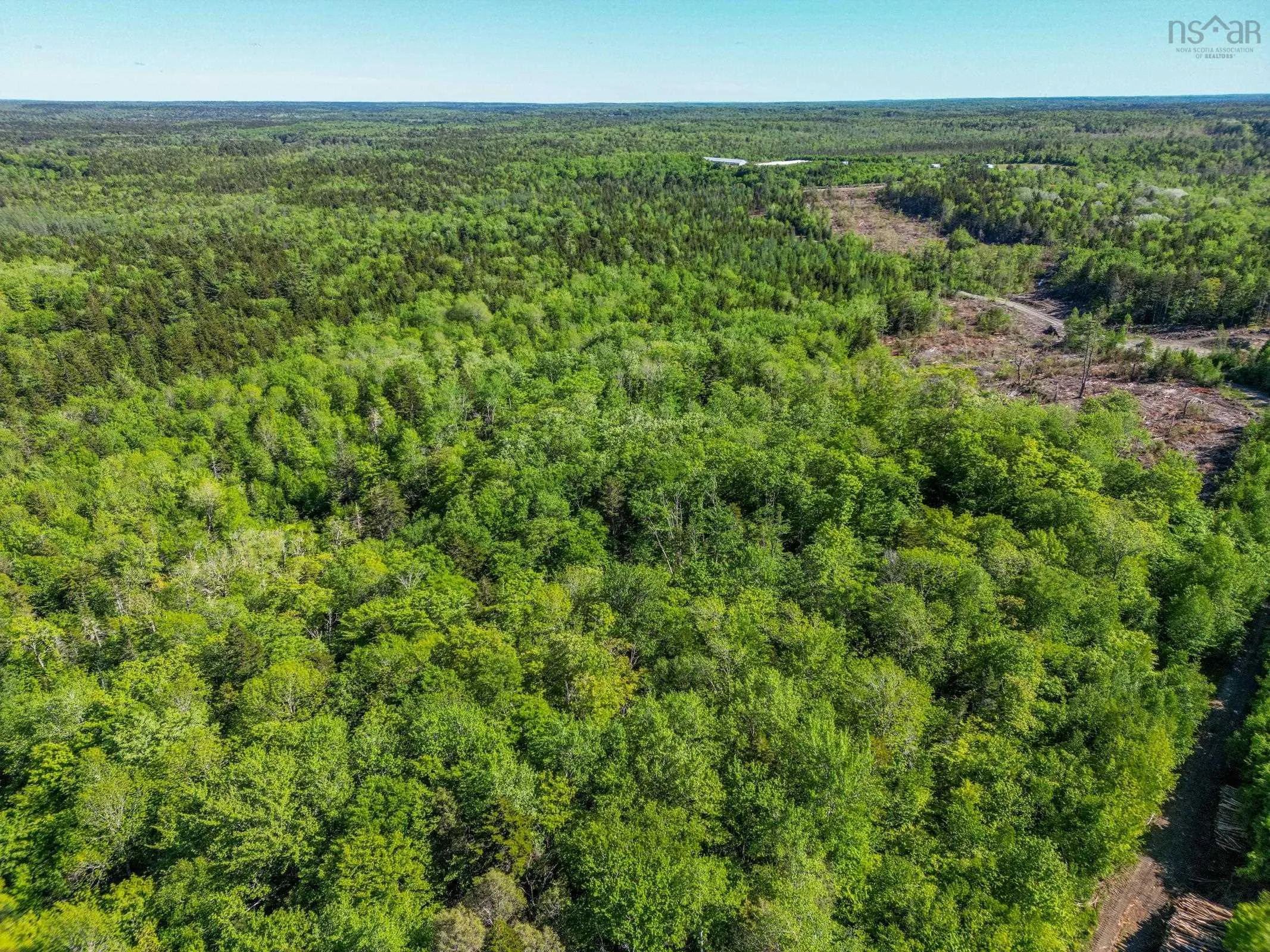 Danvers Road, Danvers, NS B0W 3T0, ,Land,For Sale,Danvers Road,202521912