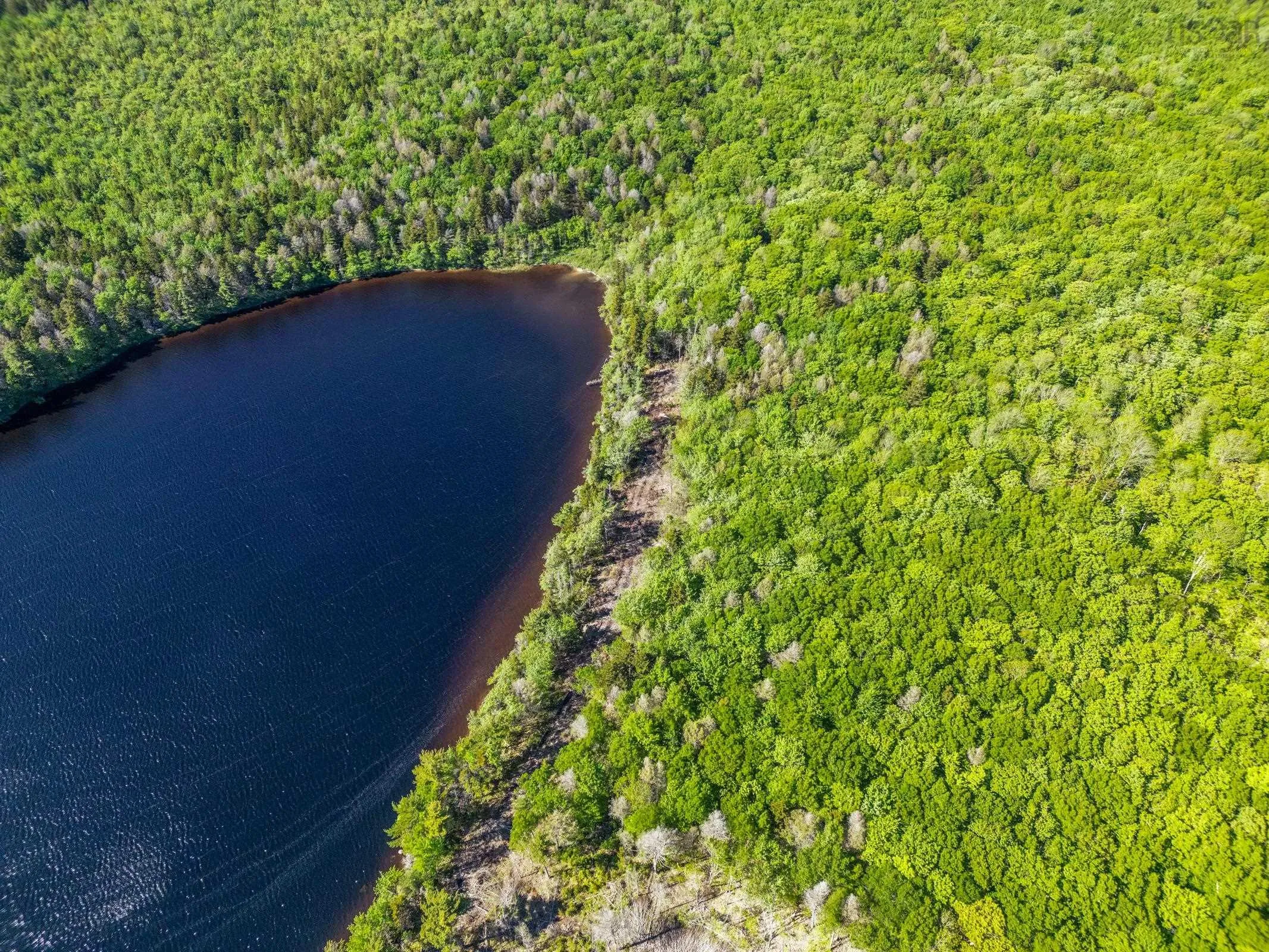 Danvers Road, Danvers, NS B0W 3T0, ,Land,For Sale,Danvers Road,202521912