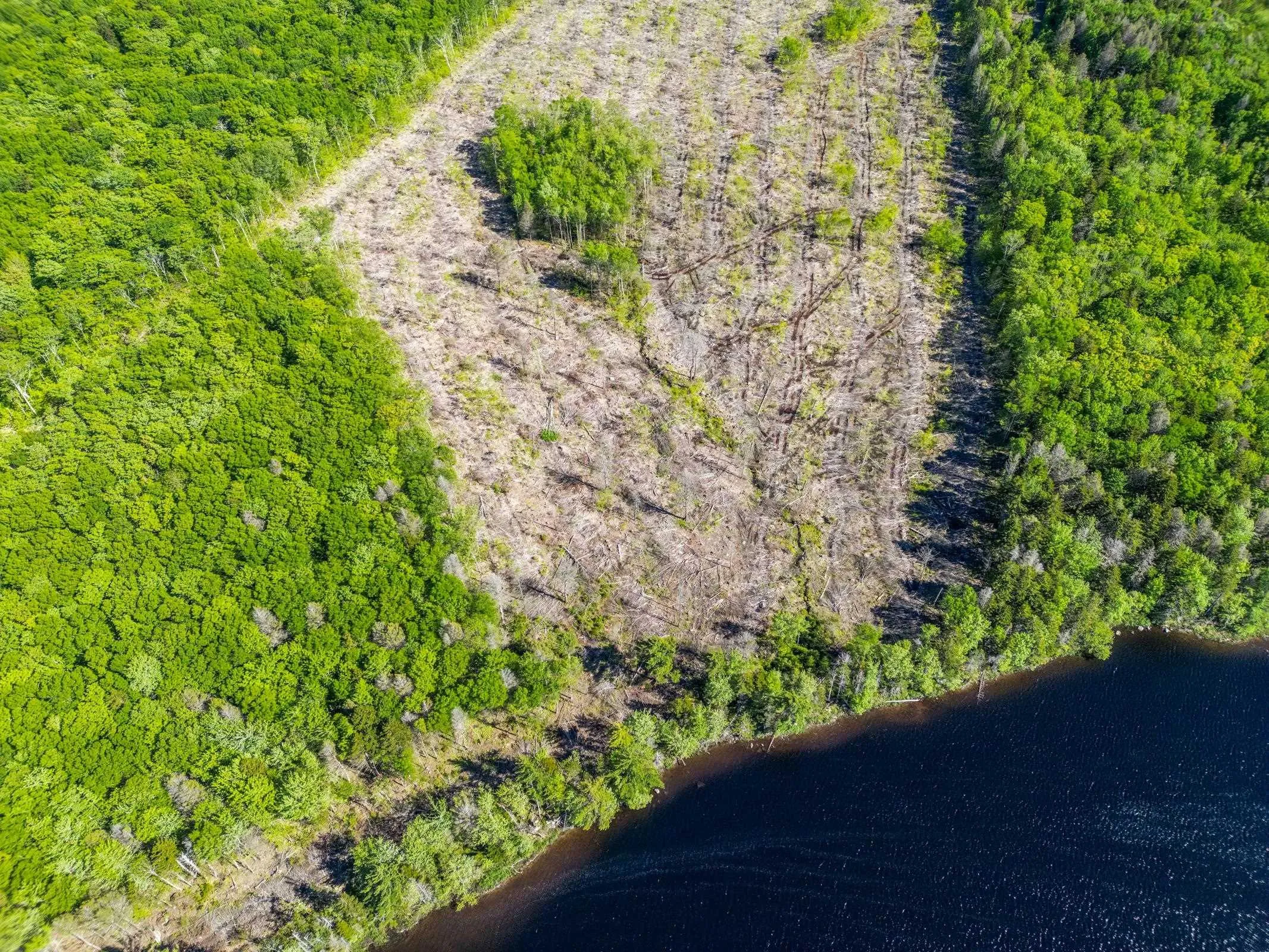 Danvers Road, Danvers, NS B0W 3T0, ,Land,For Sale,Danvers Road,202521912
