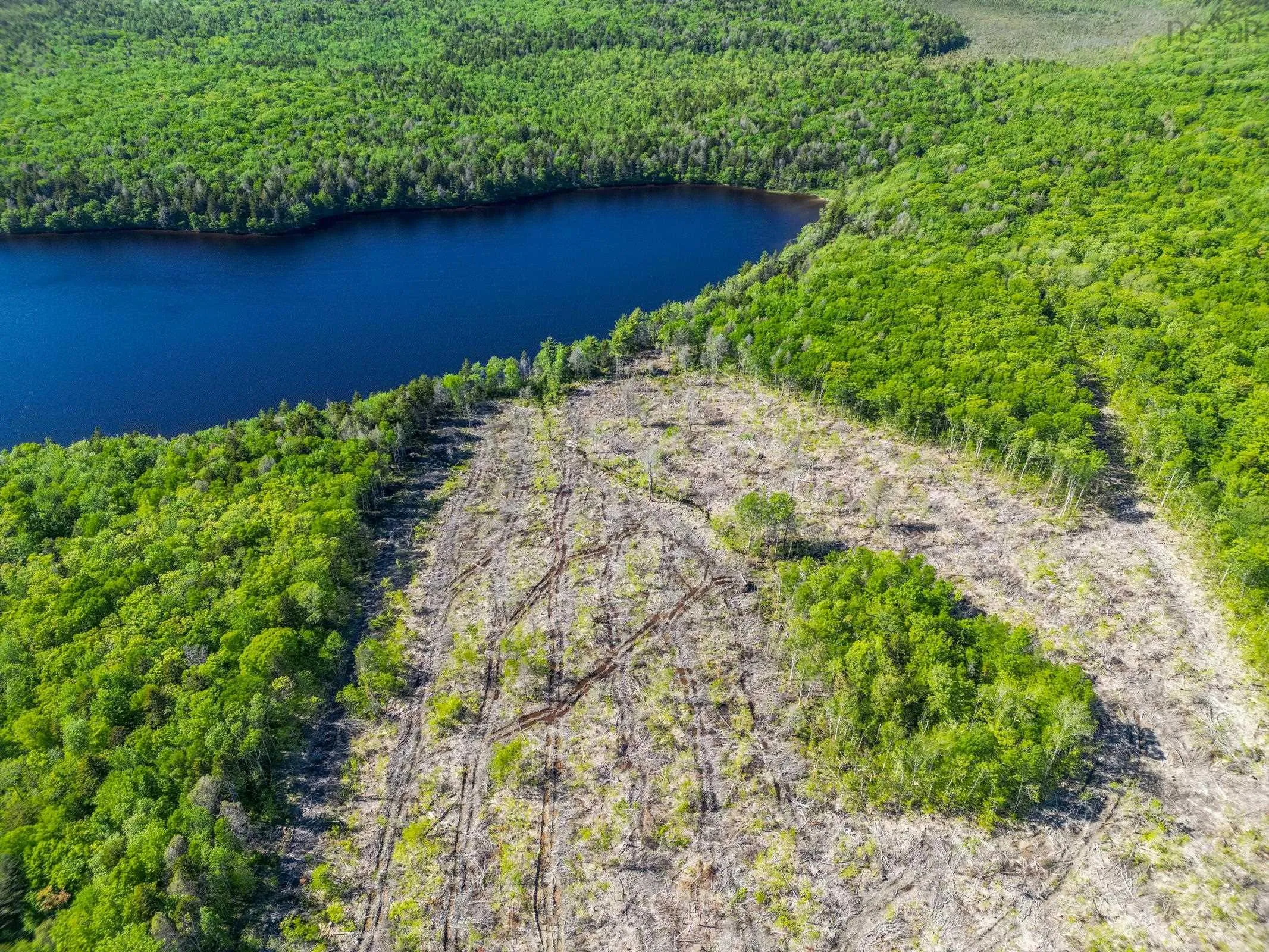 Danvers Road, Danvers, NS B0W 3T0, ,Land,For Sale,Danvers Road,202521912