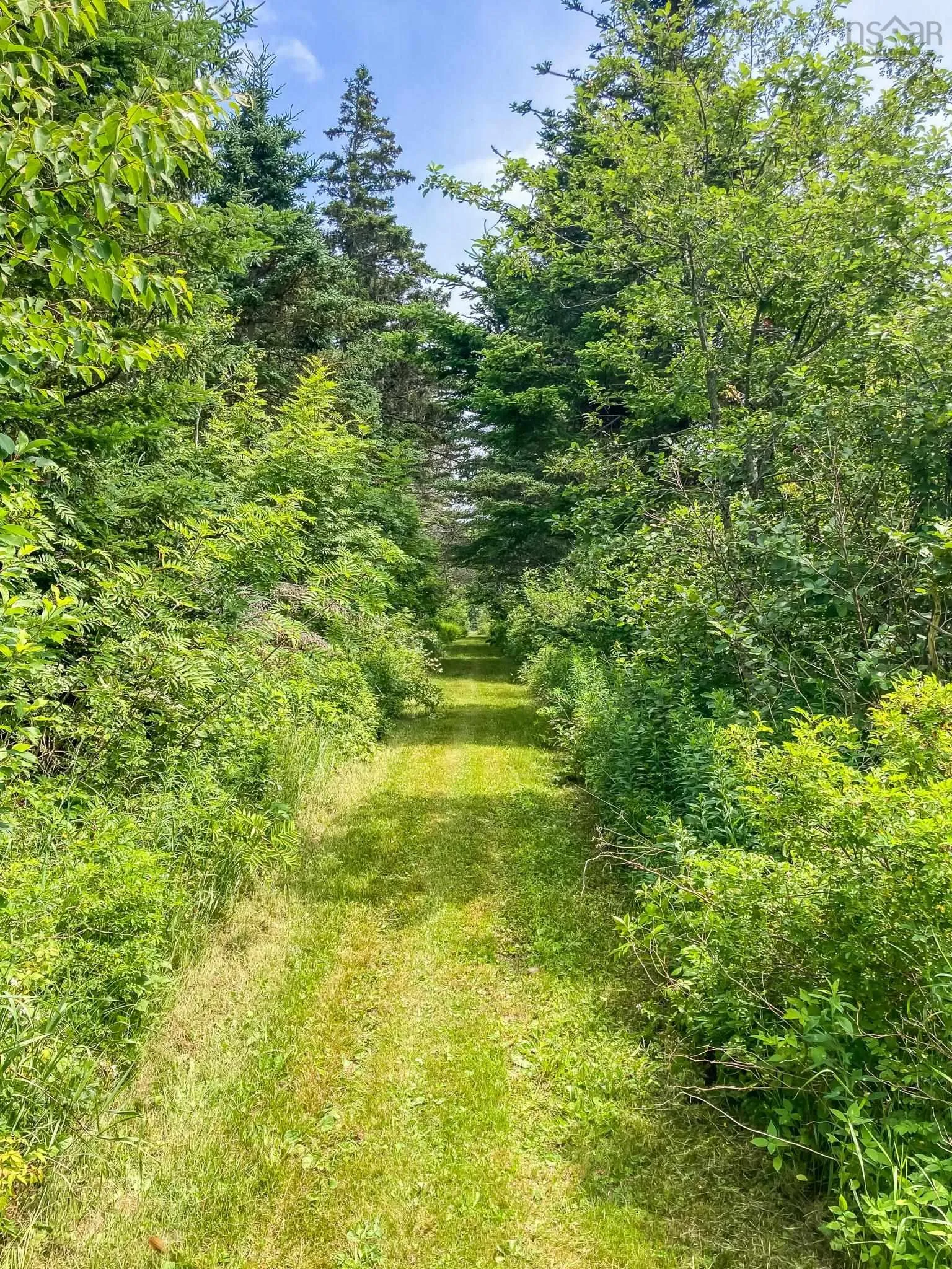 Baxters Harbour Road, Baxters Harbour, NS B0P 1H0, 1 Bedroom Bedrooms, ,Residential,For Sale,Baxters Harbour,202517355