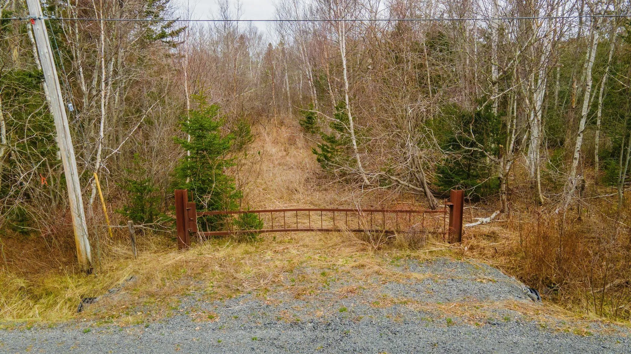 Hiltz Road, Cambridge Ns B0n 2r0, ,Land,For Sale,Hiltz,202509315