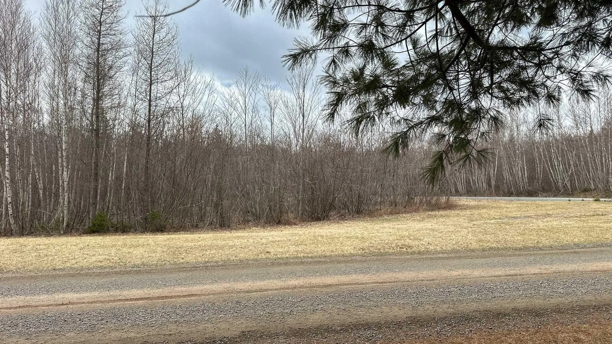94-1 Angevine Road, Angevine Lake, NS B0K 1Y0, ,Land,For Sale,Angevine,202510972
