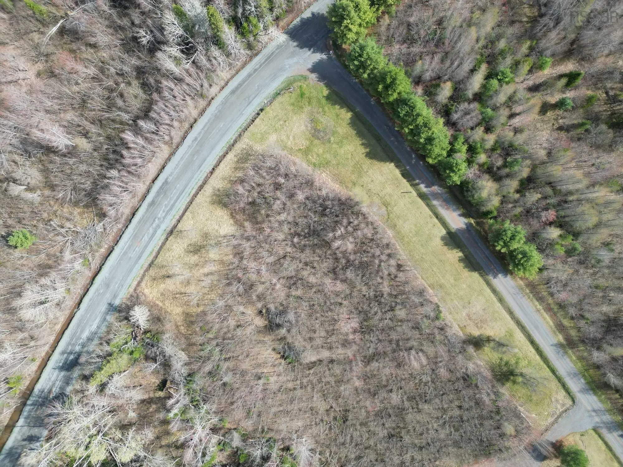 94-1 Angevine Road, Angevine Lake, NS B0K 1Y0, ,Land,For Sale,Angevine,202510972