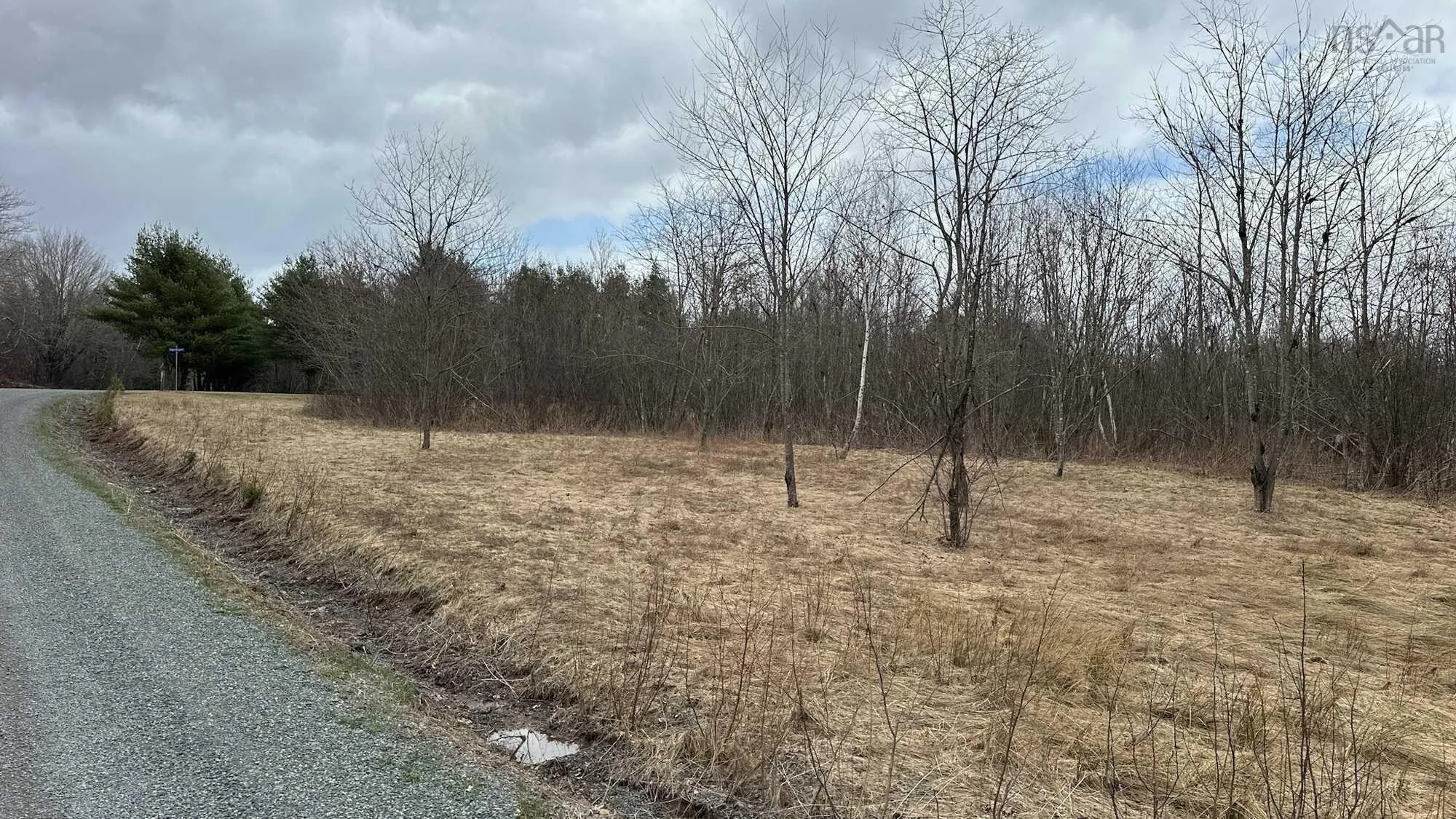 94-1 Angevine Road, Angevine Lake, NS B0K 1Y0, ,Land,For Sale,Angevine,202510972