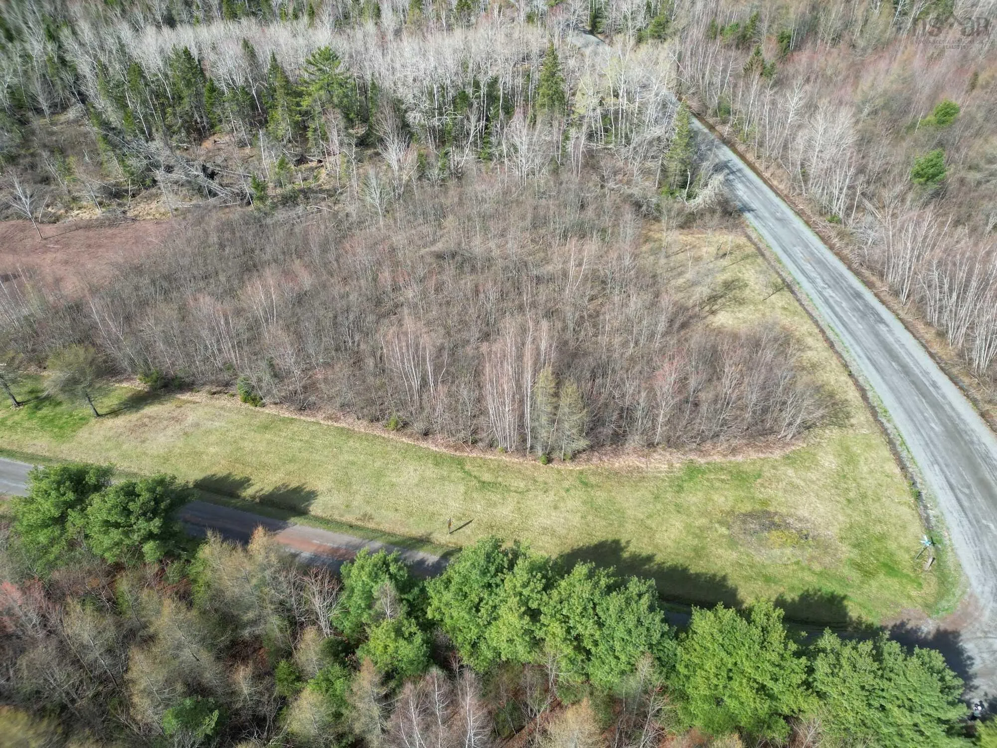 94-1 Angevine Road, Angevine Lake, NS B0K 1Y0, ,Land,For Sale,Angevine,202510972