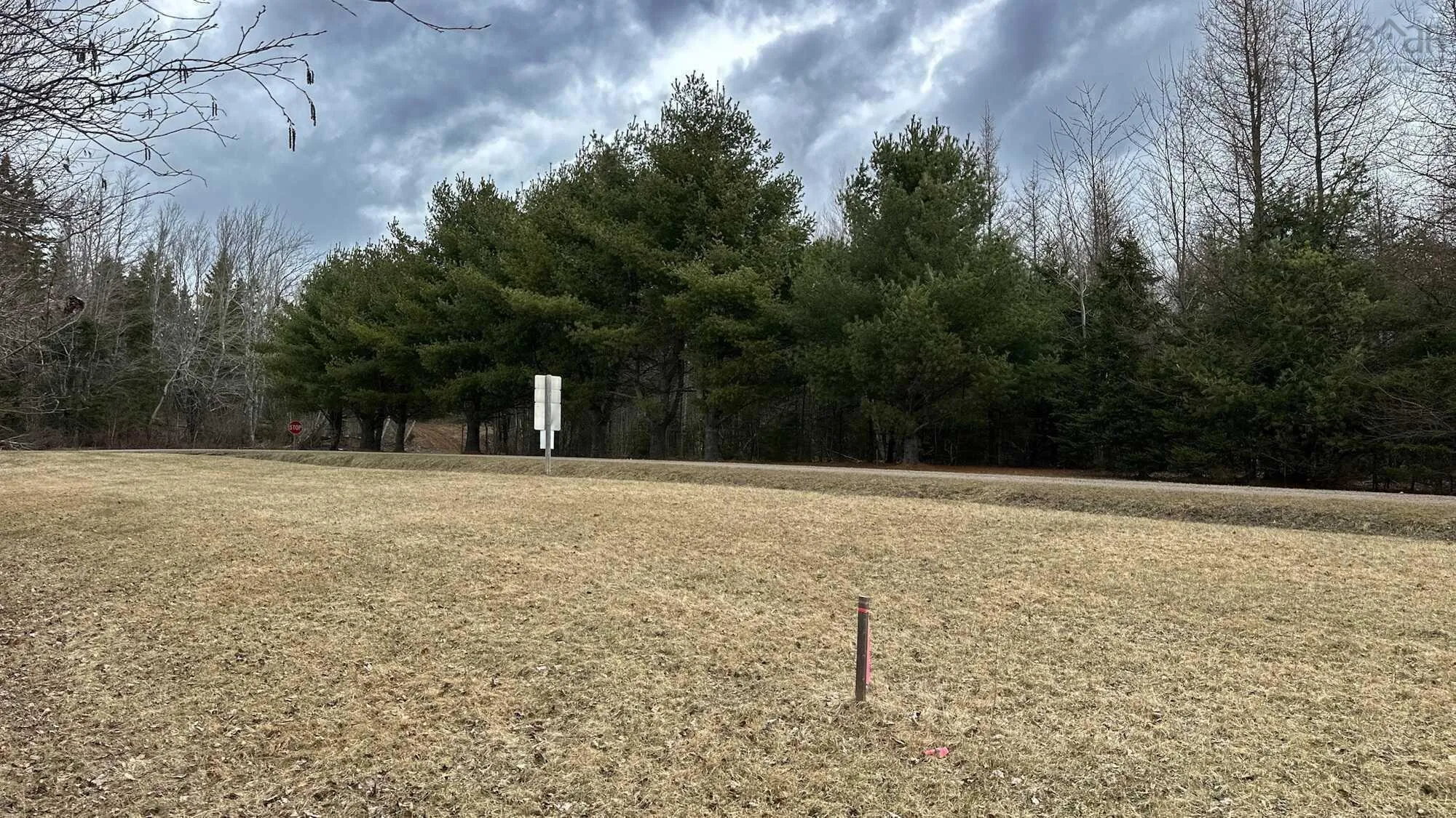 94-1 Angevine Road, Angevine Lake, NS B0K 1Y0, ,Land,For Sale,Angevine,202510972