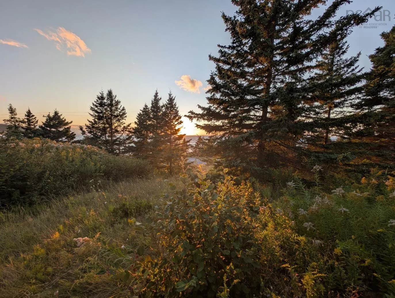 0 East Bay Highway, Irish Cove, NS B1J 2B7, ,Land,For Sale,East Bay Highway,202522812