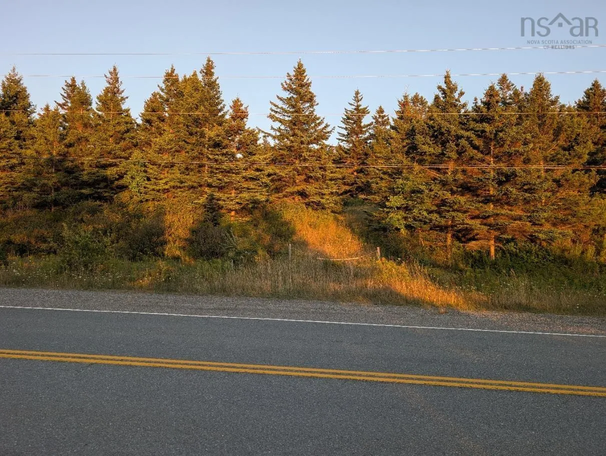 0 East Bay Highway, Irish Cove, NS B1J 2B7, ,Land,For Sale,East Bay Highway,202522812