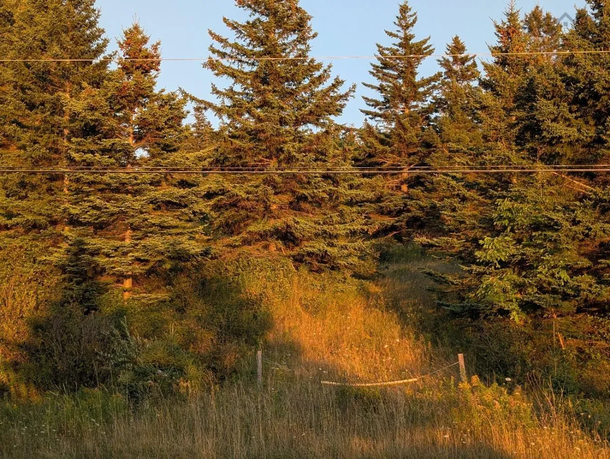 0 East Bay Highway, Irish Cove, NS B1J 2B7, ,Land,For Sale,East Bay Highway,202522812