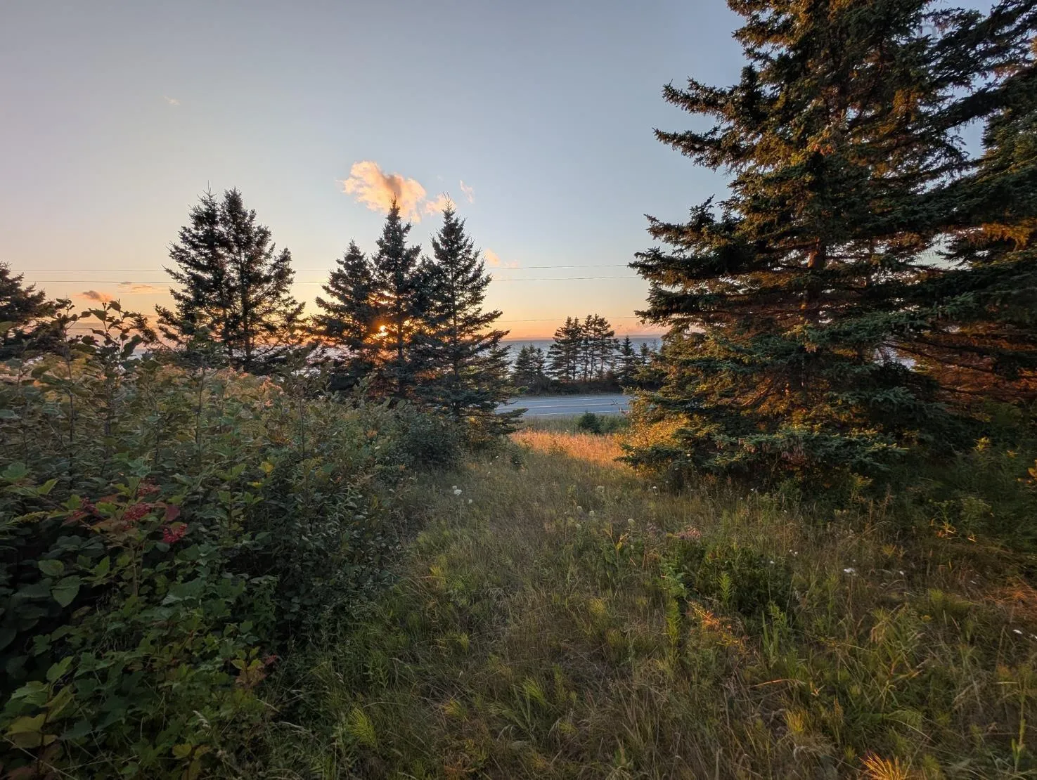0 East Bay Highway, Irish Cove, NS B1J 2B7, ,Land,For Sale,East Bay Highway,202522812