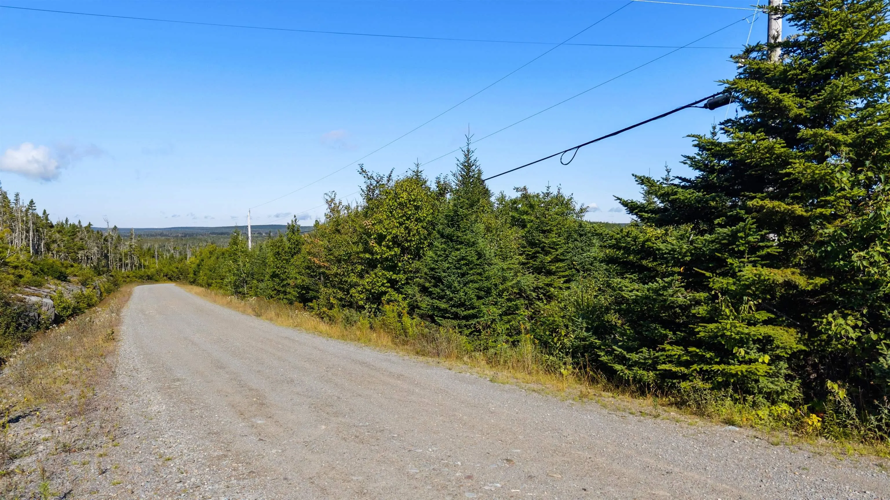 410 Nowlan Head Drive, West Quoddy, NS B0K 2R0, ,Land,For Sale,Nowlan Head,202522944