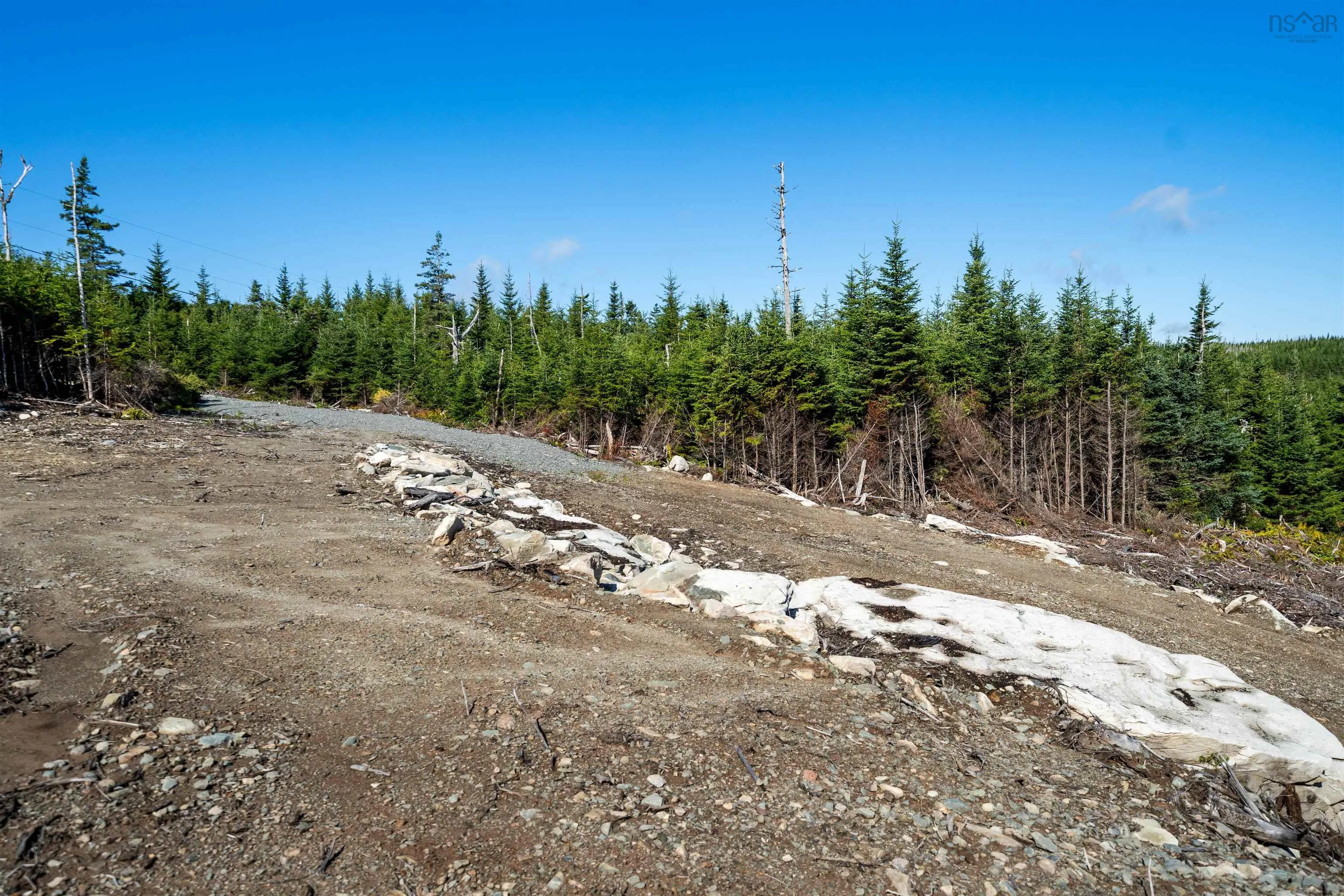 410 Nowlan Head Drive, West Quoddy, NS B0K 2R0, ,Land,For Sale,Nowlan Head,202522944
