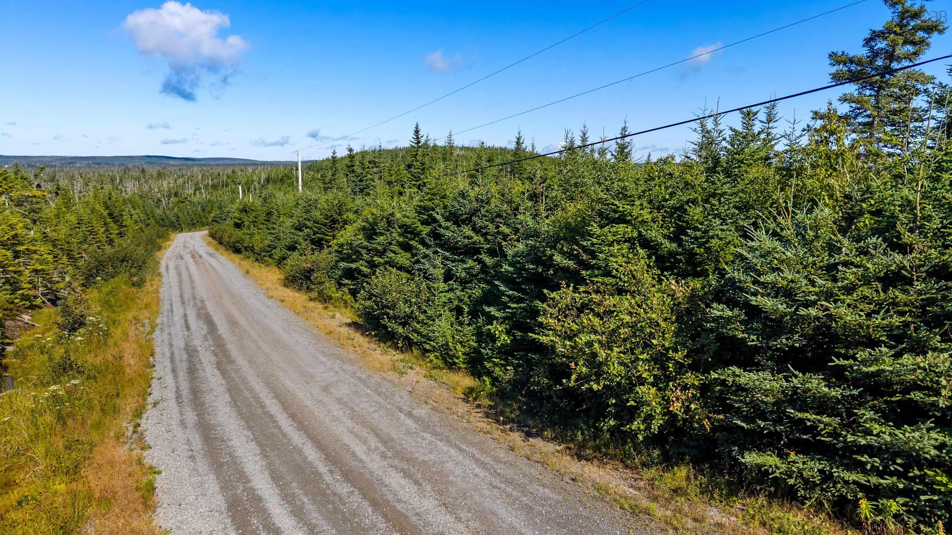 410 Nowlan Head Drive, West Quoddy, NS B0K 2R0, ,Land,For Sale,Nowlan Head,202522944