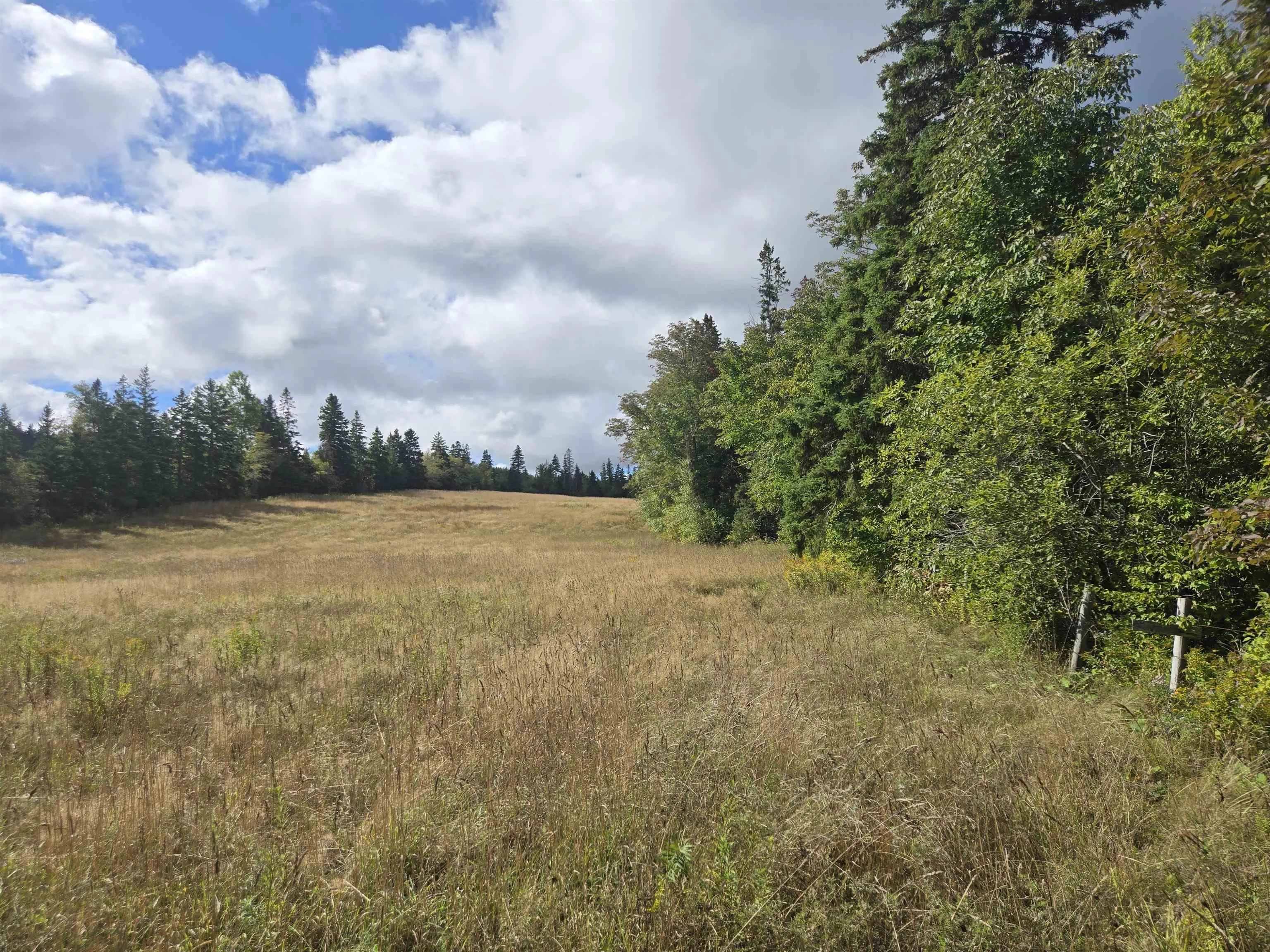 28 Acres Warwick Mountain Road, West New Annan, NS B0K 1V0, ,Land,For Sale,Warwick Mountain,202523367