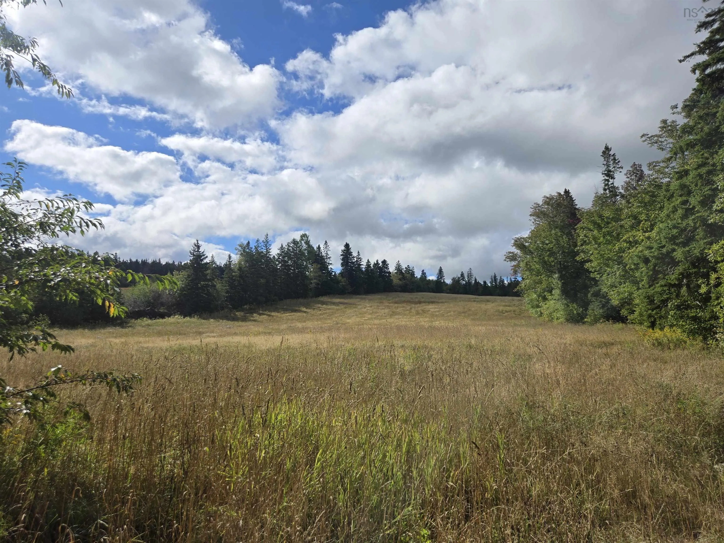 28 Acres Warwick Mountain Road, West New Annan, NS B0K 1V0, ,Land,For Sale,Warwick Mountain,202523367