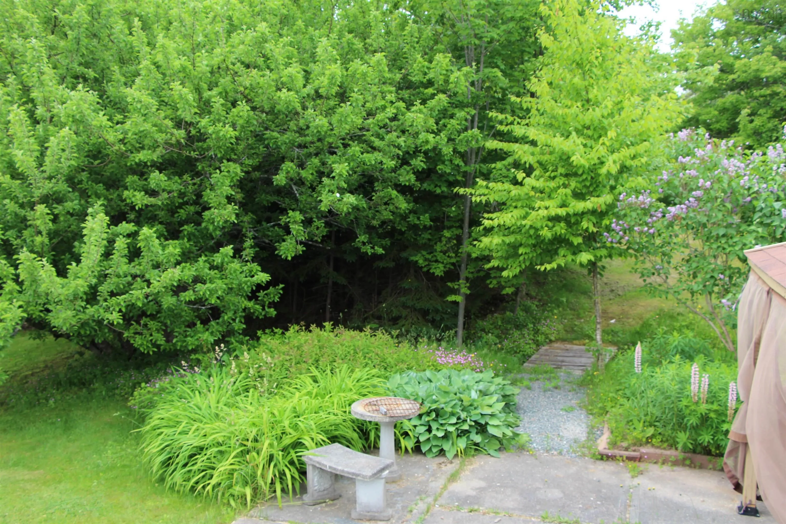 5000 Louisbourg Highway Highway, Albert Bridge, NS B1K 3T9, 3 Bedrooms Bedrooms, ,2 BathroomsBathrooms,Residential,For Sale,Louisbourg,202515378