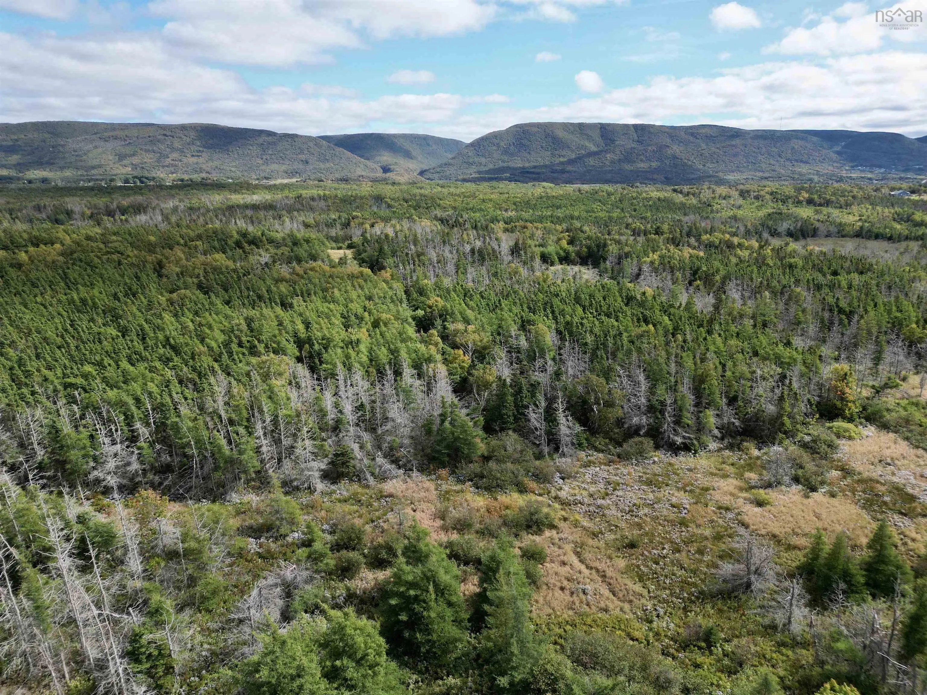 Cabot Trail Road, Chéticamp Ns B0e 1h0, ,Land,For Sale,Cabot Trail,202420470
