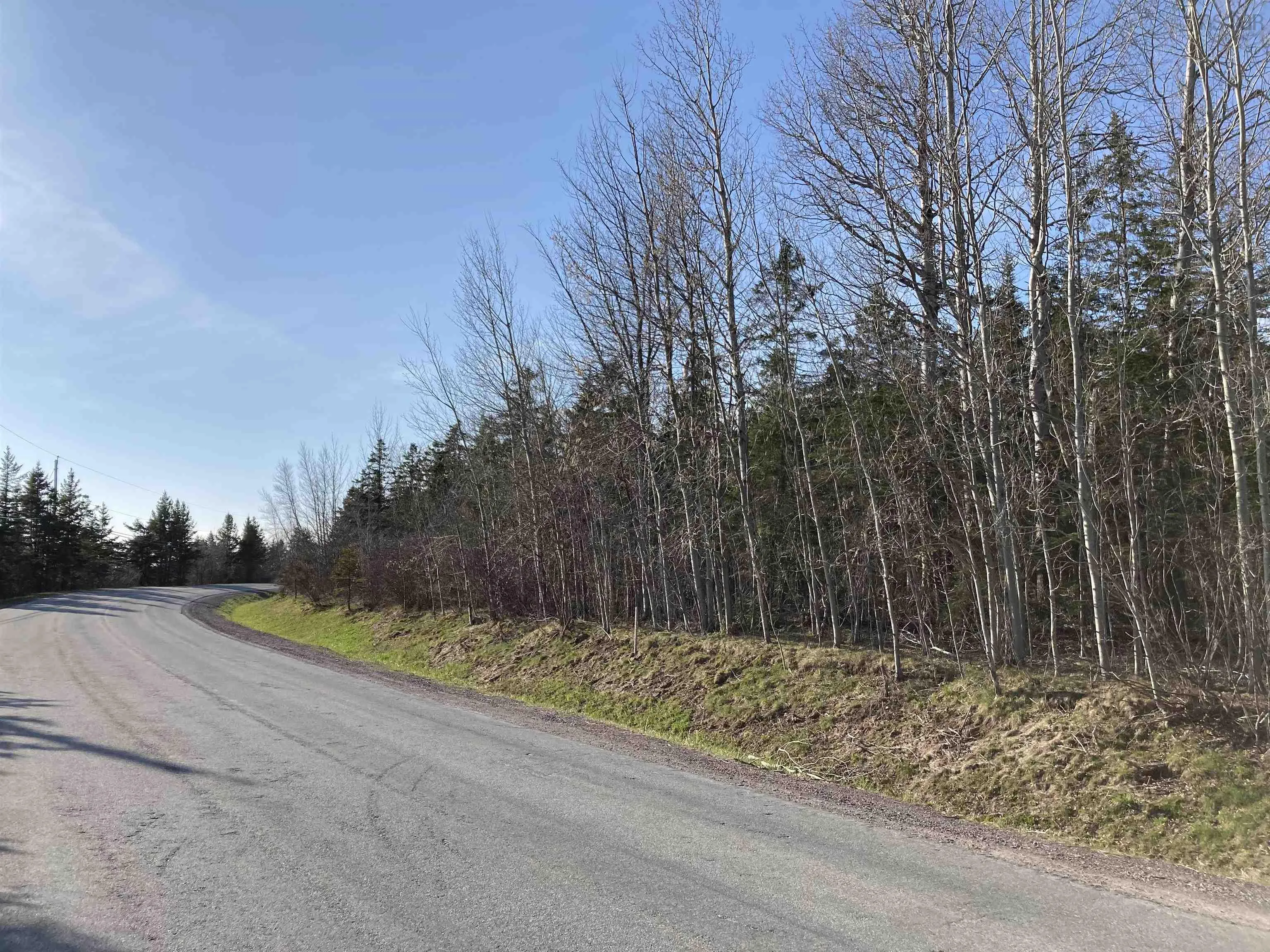 Lot 21-10 Mary Cecelia Ridge, Antigonish County Ns B0h 1p0, ,Land,For Sale,Mary Cecelia Ridge,202509476