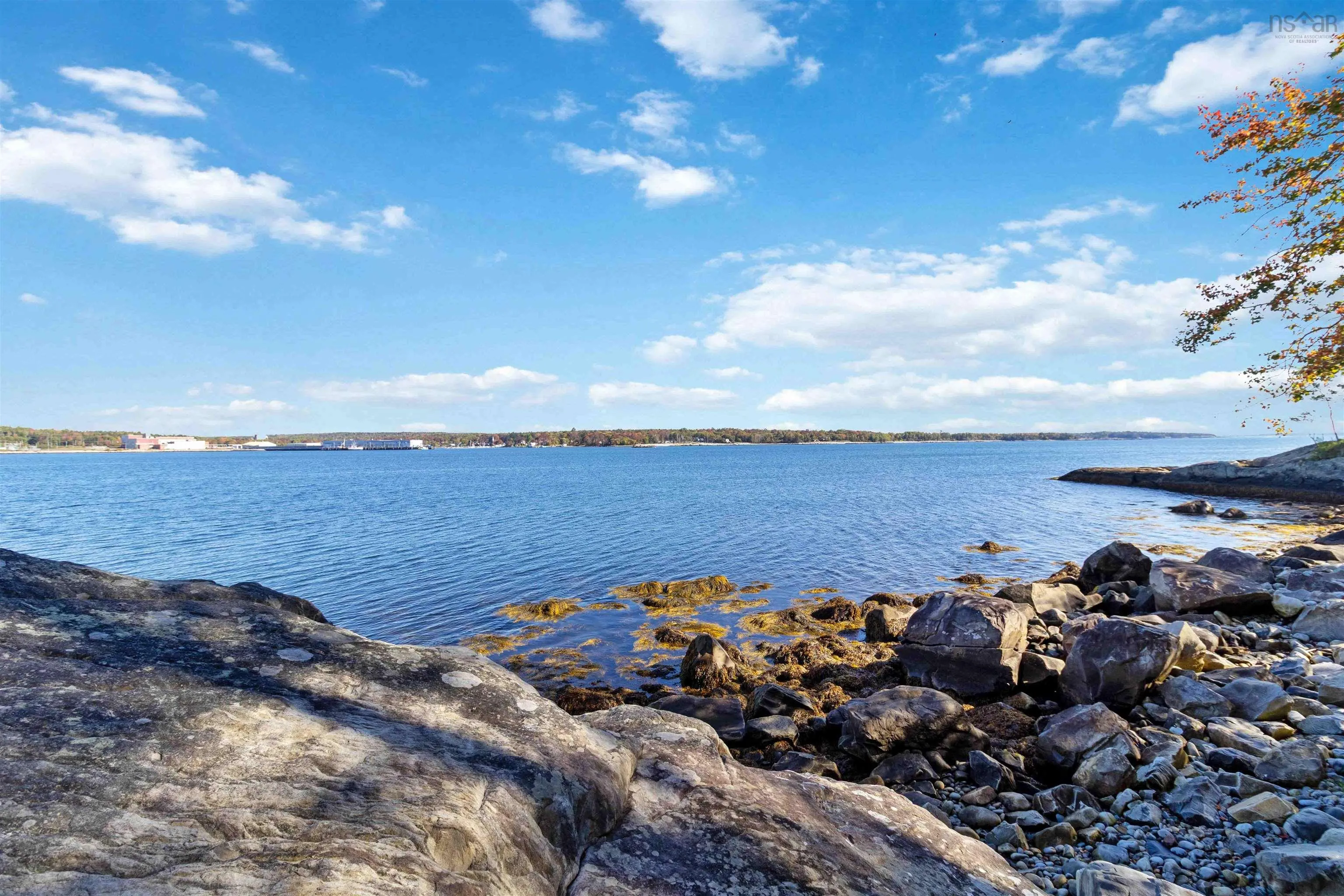 65 Shore Road, Mount Pleasant, NS B0T 1K0, 4 Bedrooms Bedrooms, ,2 BathroomsBathrooms,Residential,For Sale,Shore,202525428