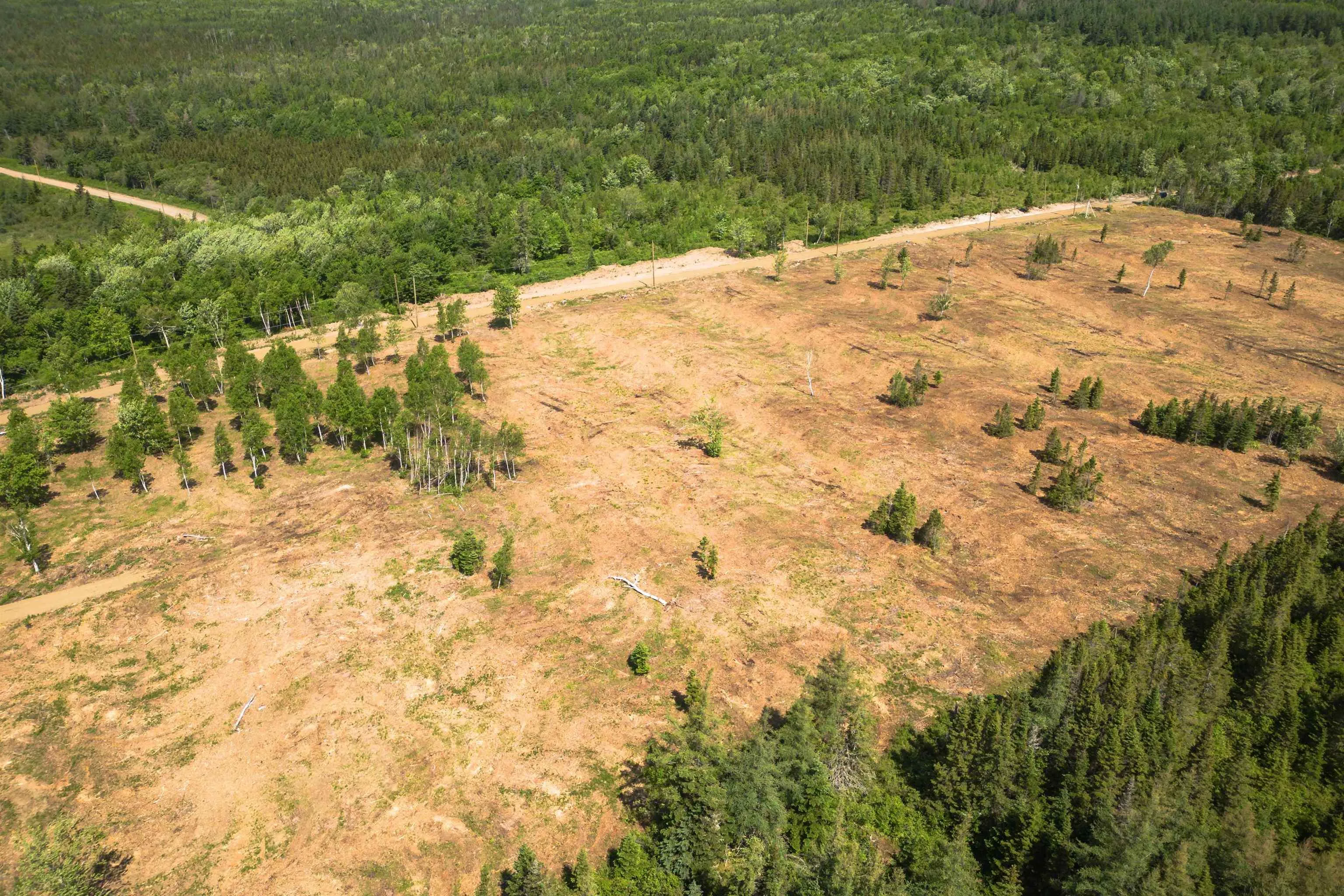 Alpine Ridge Road Lot 3, Mabou Ns B0e 1x0, ,Land,For Sale,Alpine Ridge,202506915