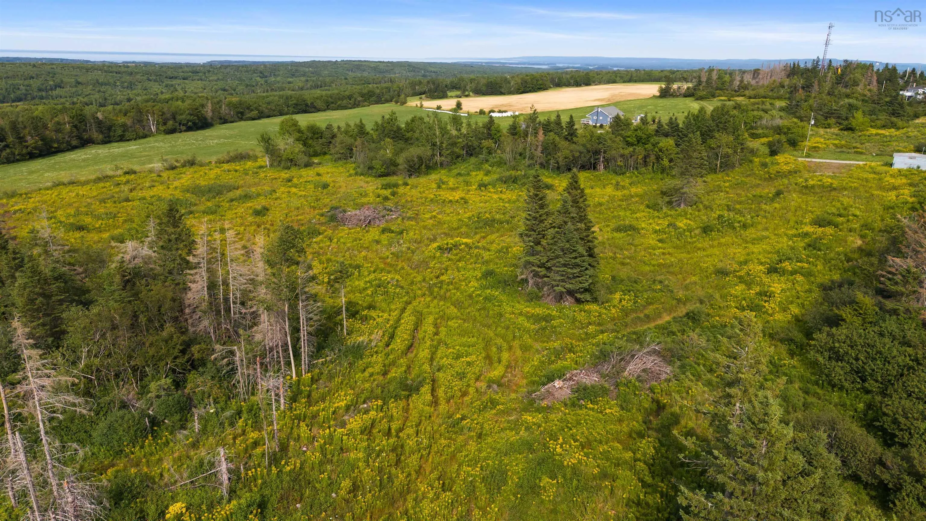 1585 Frasers Mountain Road, Frasers Mountain, NS B2H 5C4, ,Land,For Sale,Frasers Mountain,202520301