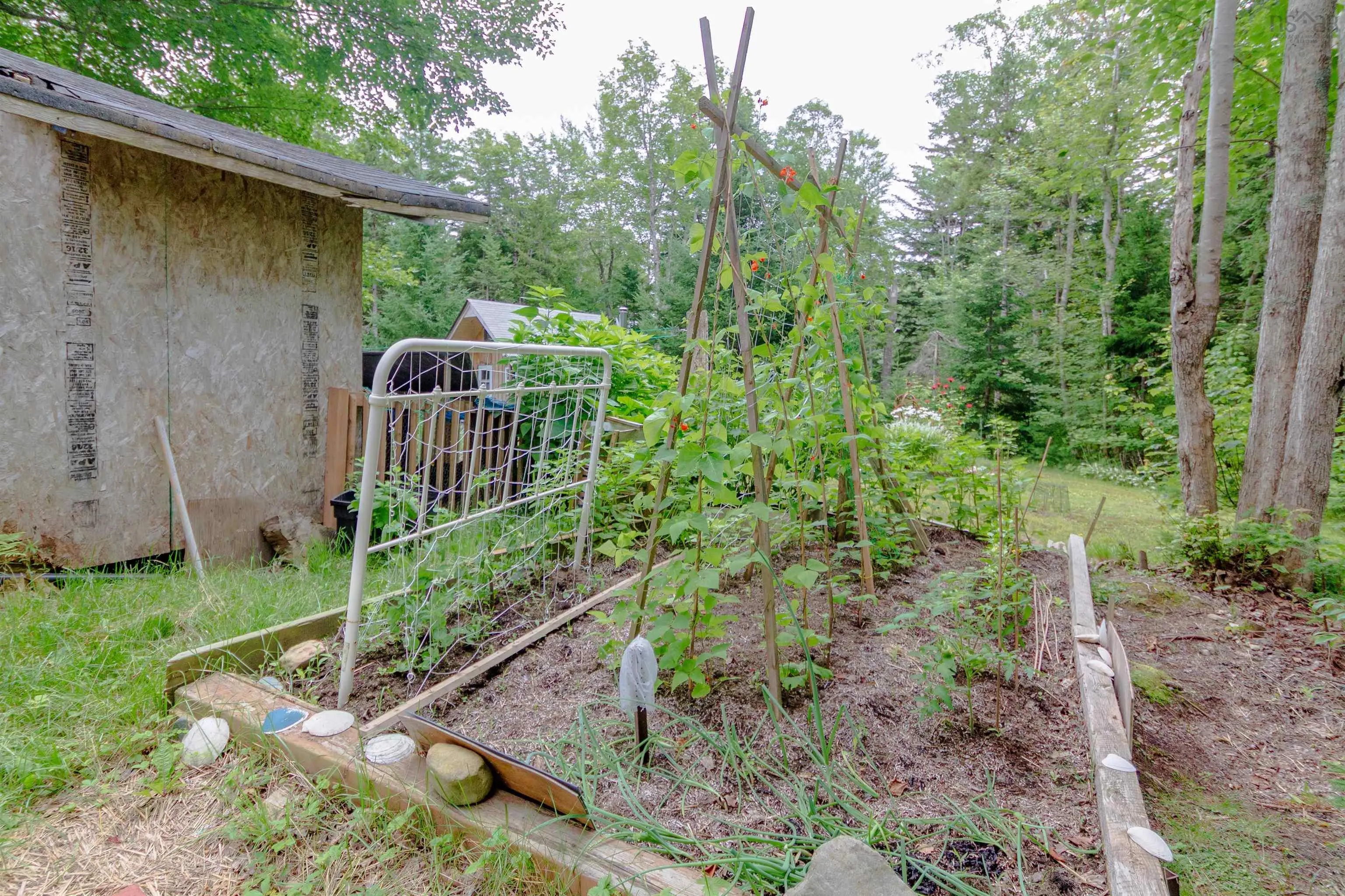 1387 Canada Hill Road, Lockeport, NS B0T 1L0, 3 Bedrooms Bedrooms, ,1 BathroomBathrooms,Residential,For Sale,Canada Hill,202518348