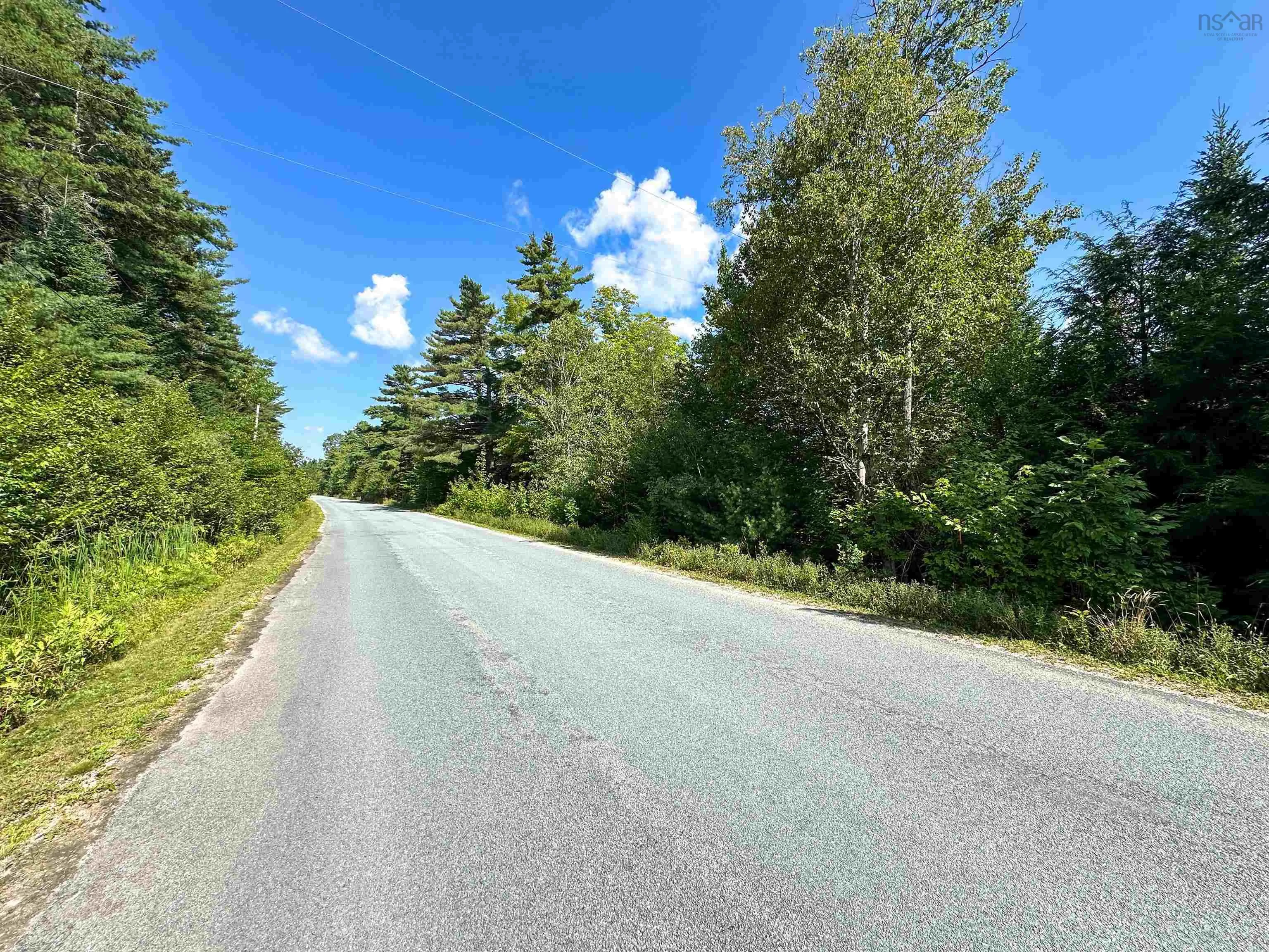 Crouses Settlement Road Lot 101, Crouses Settlement, NS B0J 2C0, ,Land,For Sale,Crouses Settlement,202519474