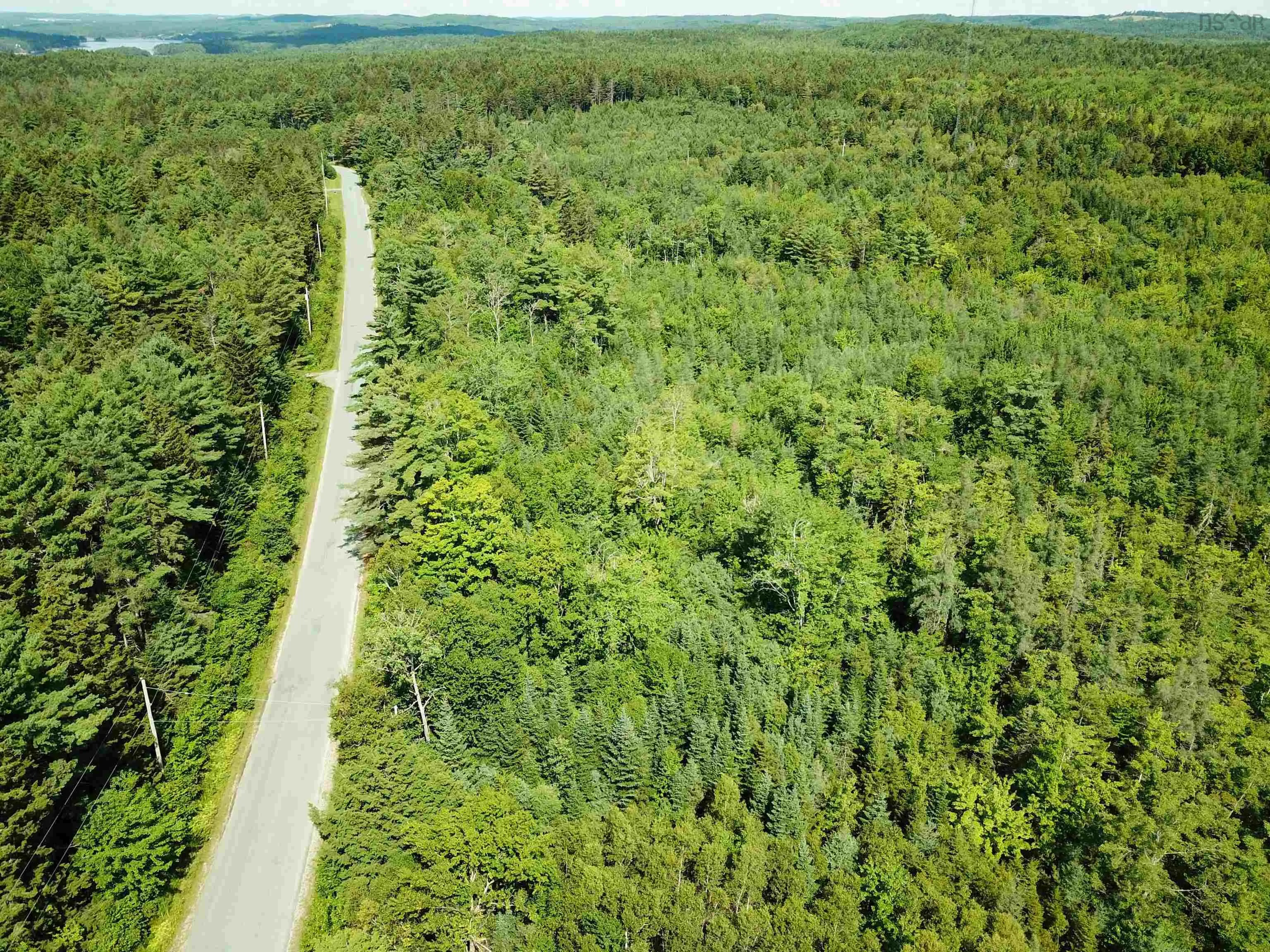 Crouses Settlement Road Lot 101, Crouses Settlement, NS B0J 2C0, ,Land,For Sale,Crouses Settlement,202519474